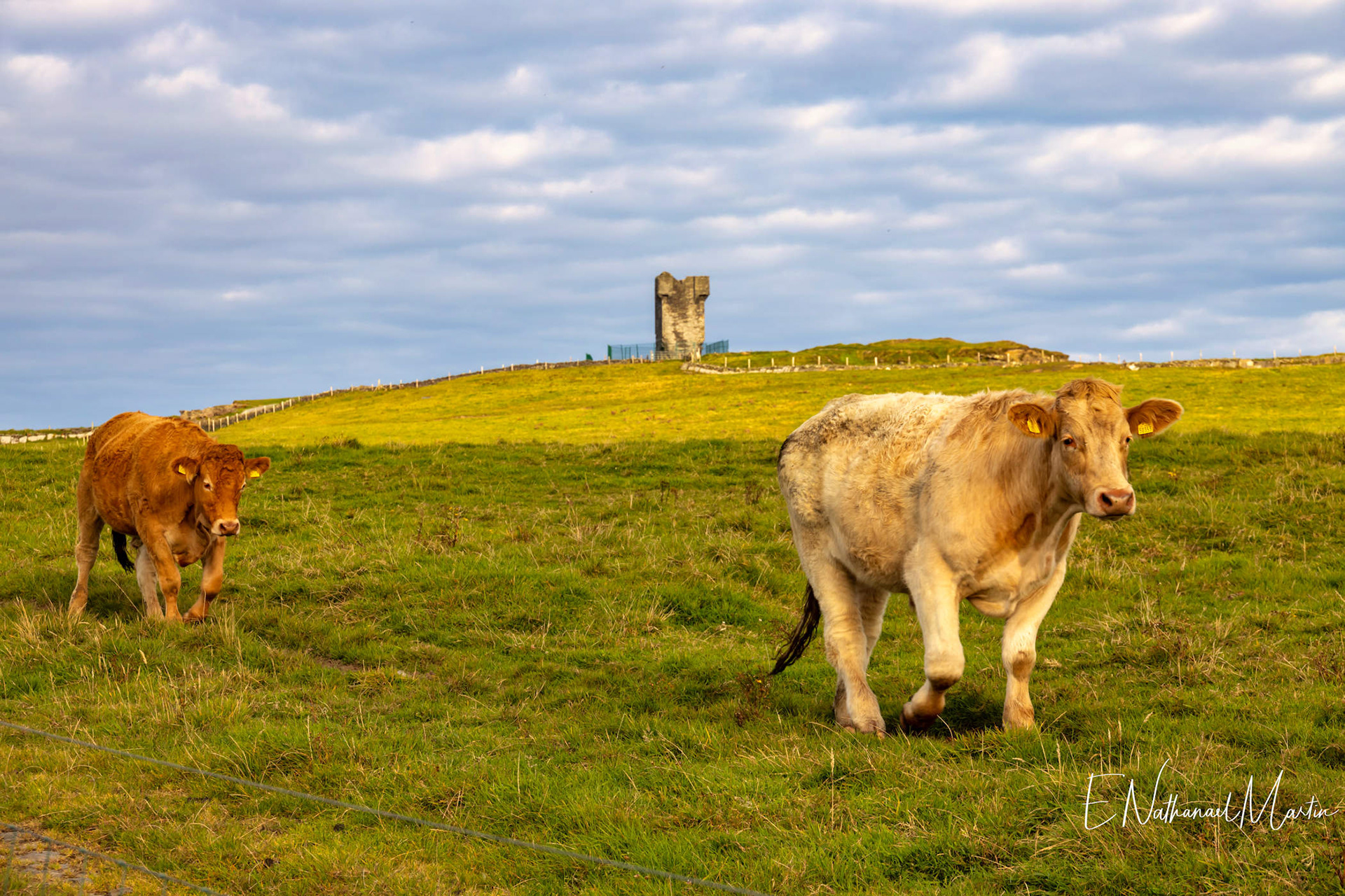 Moher Tower