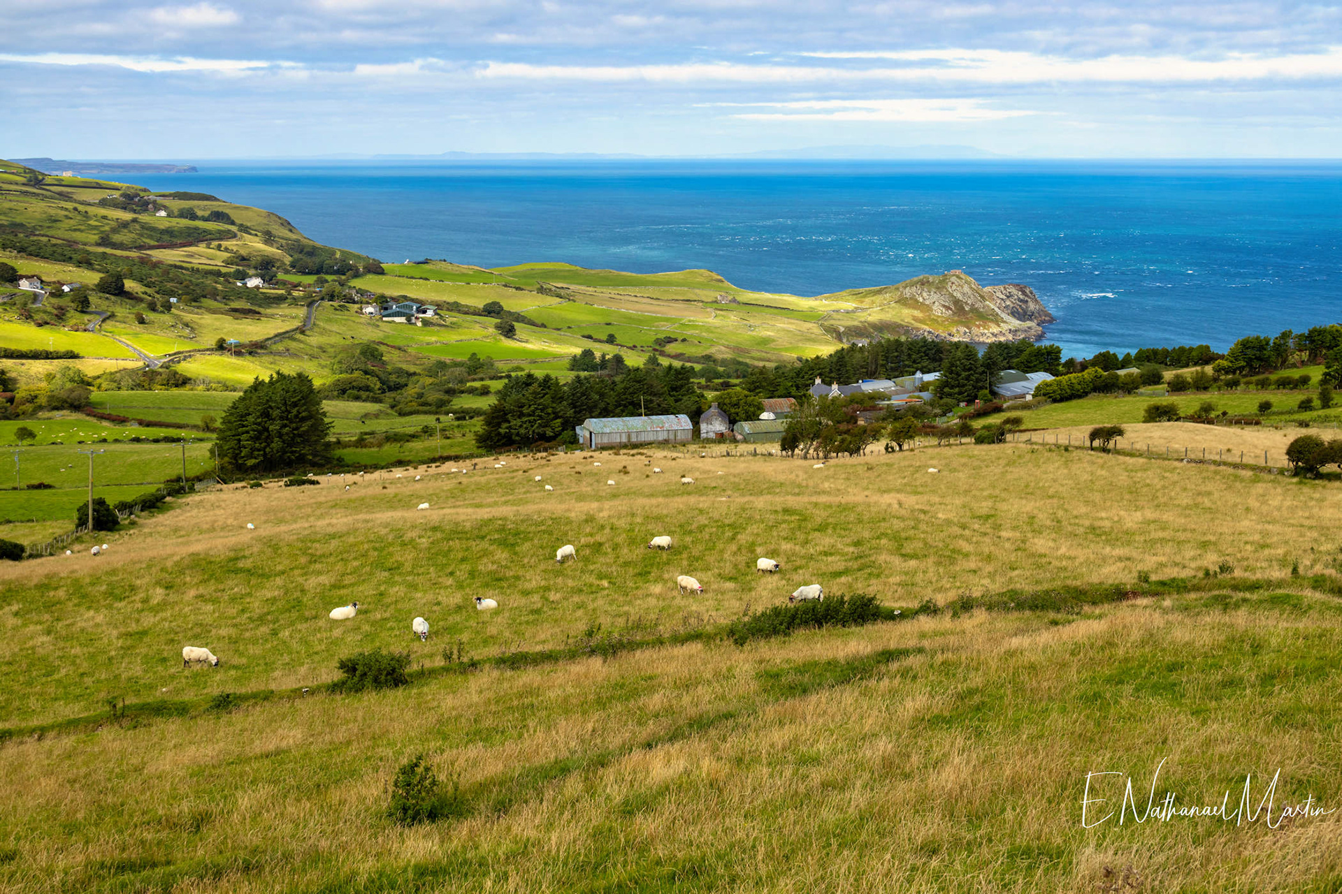 Torr Head