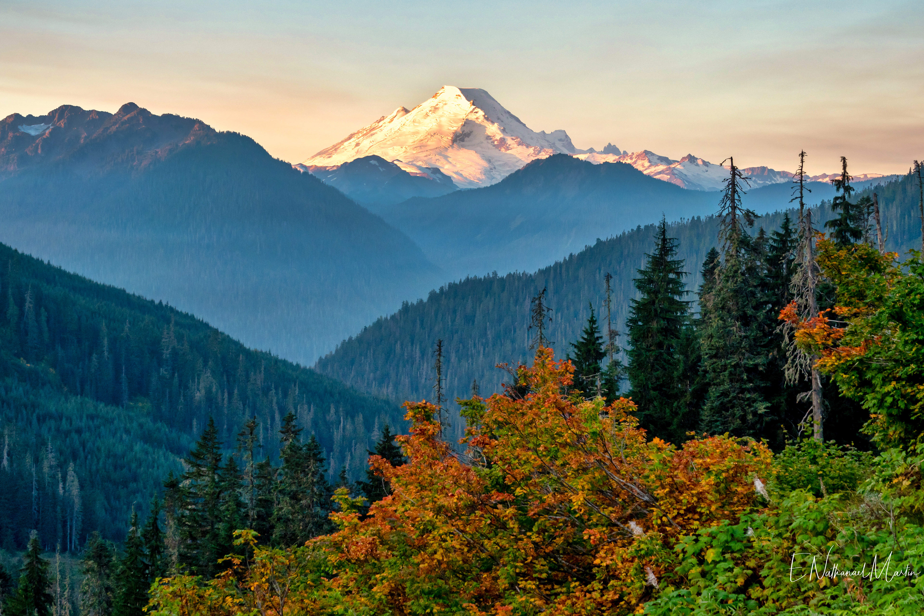 Photographing Fall Foliage in Mount Rainier National Park