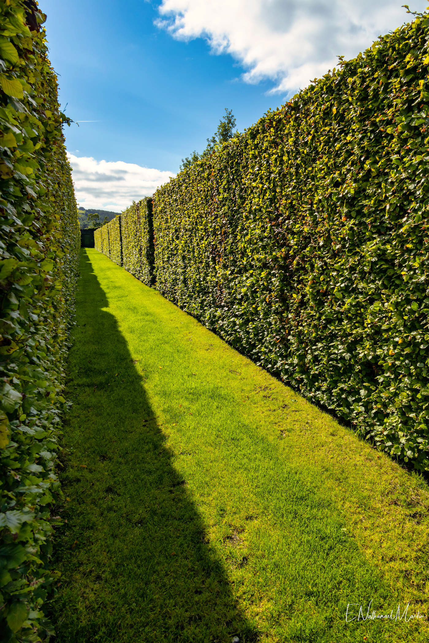 Glenarm Walled Garden