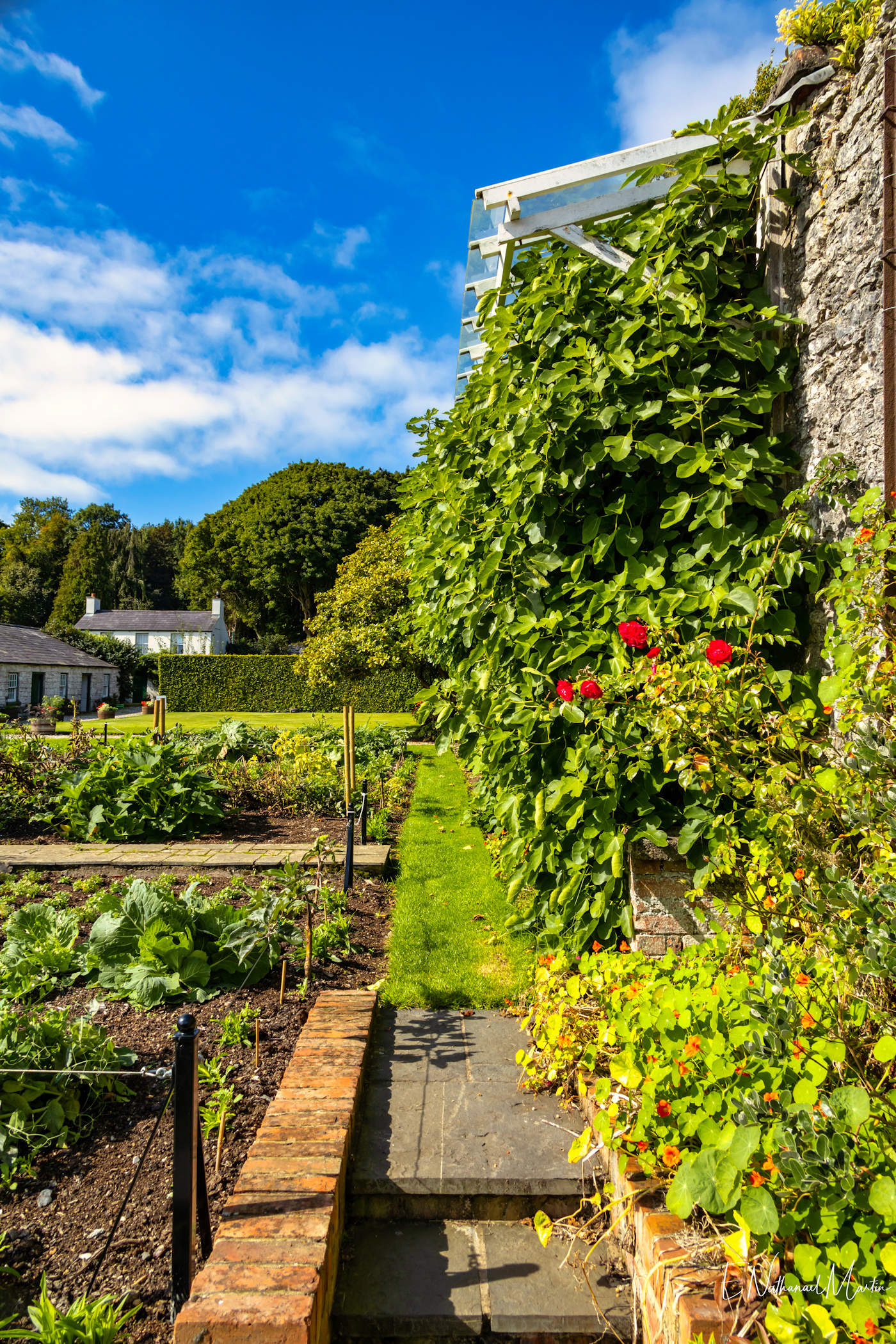 Glenarm Walled Garden