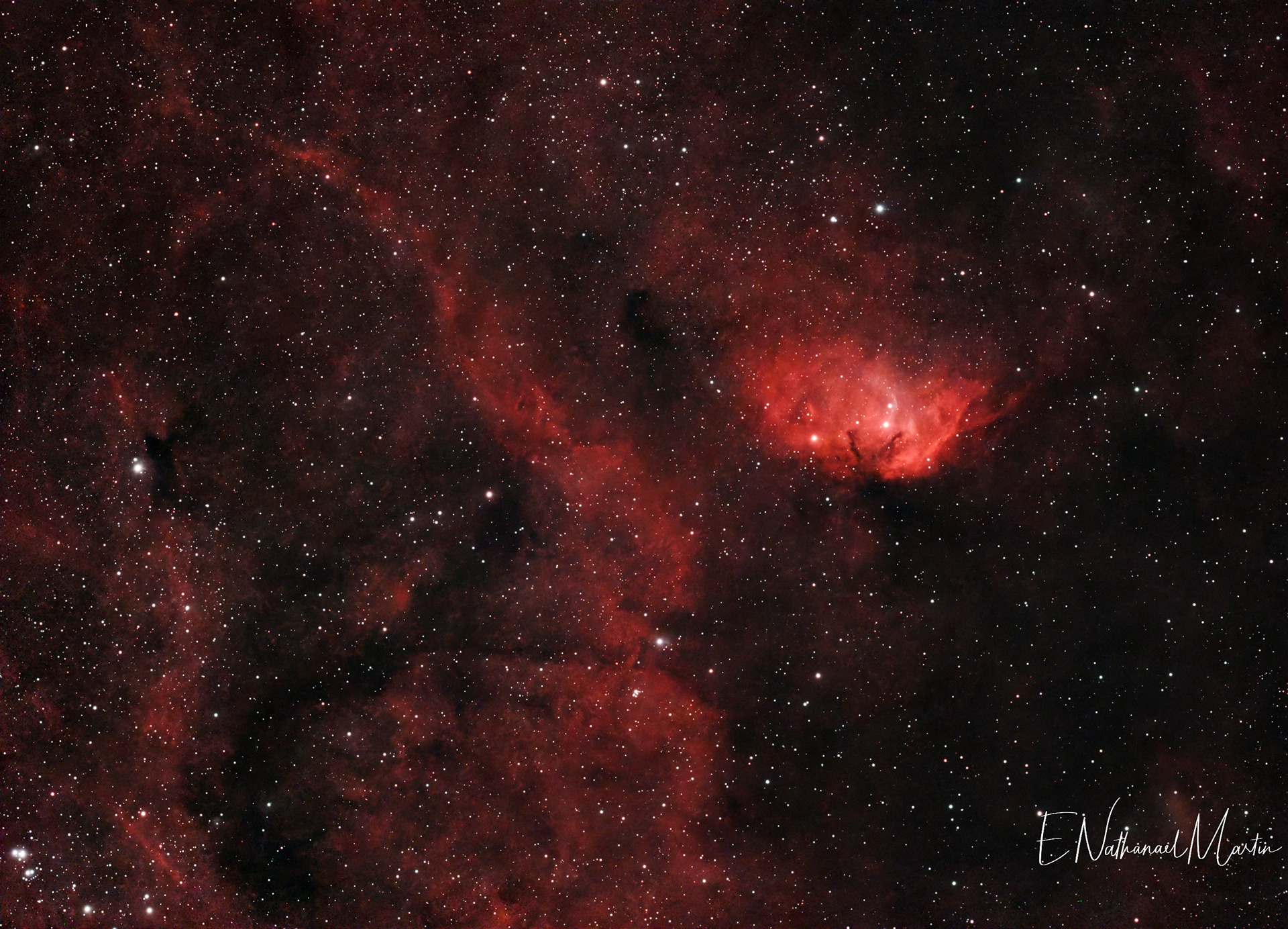 SH2-101 Tulip Nebula