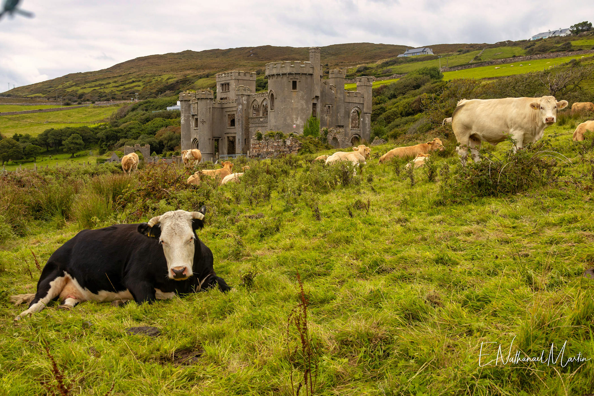 Clifden Castle
