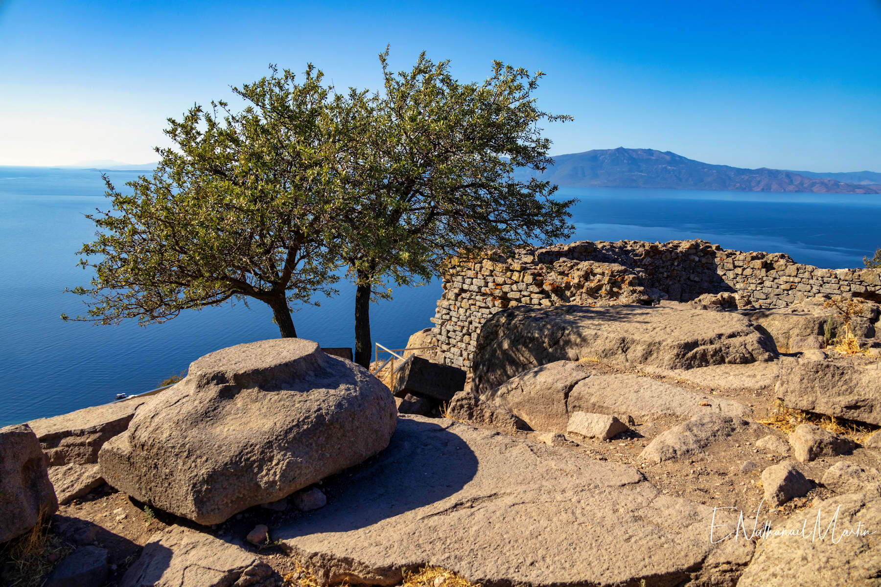 Assos