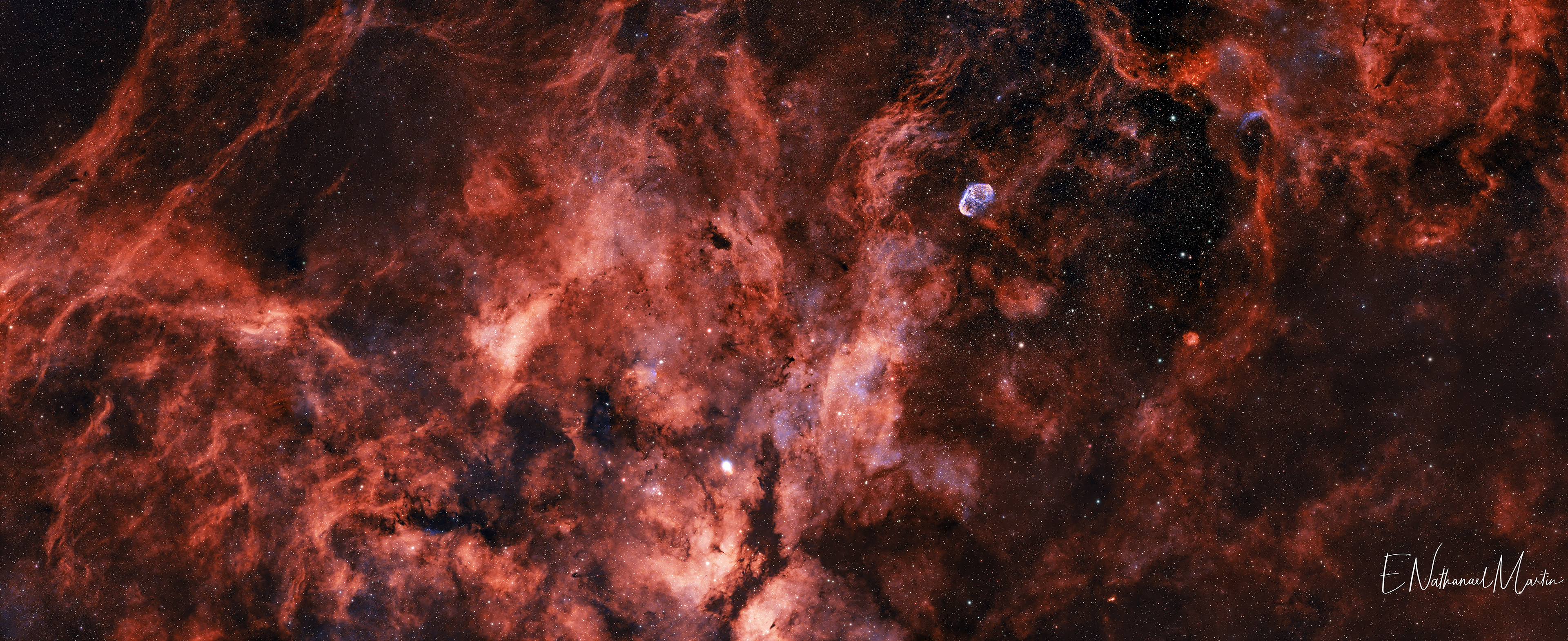Ten panel mosaic of the Cygnus Region