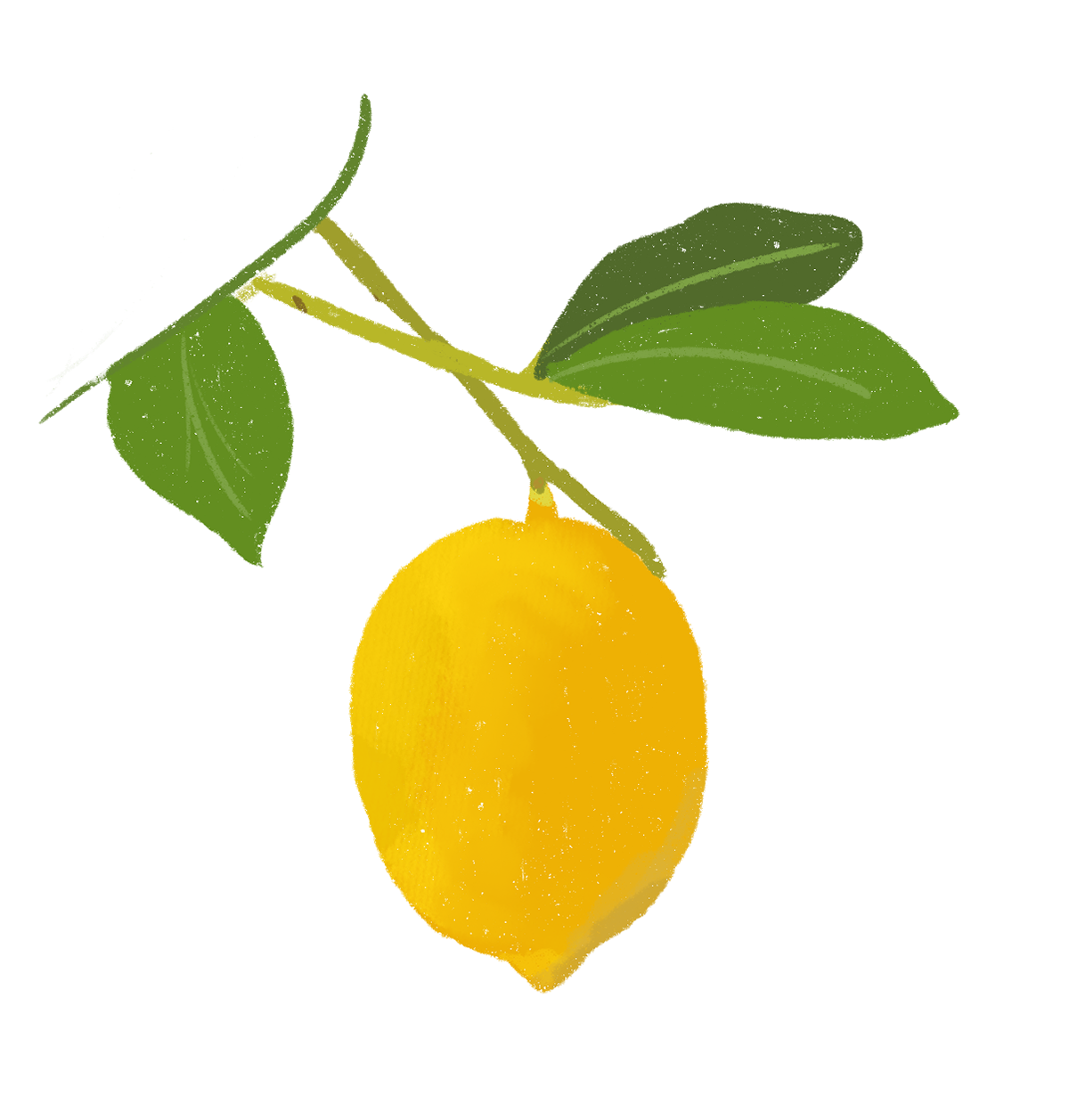 Limones tucumanos