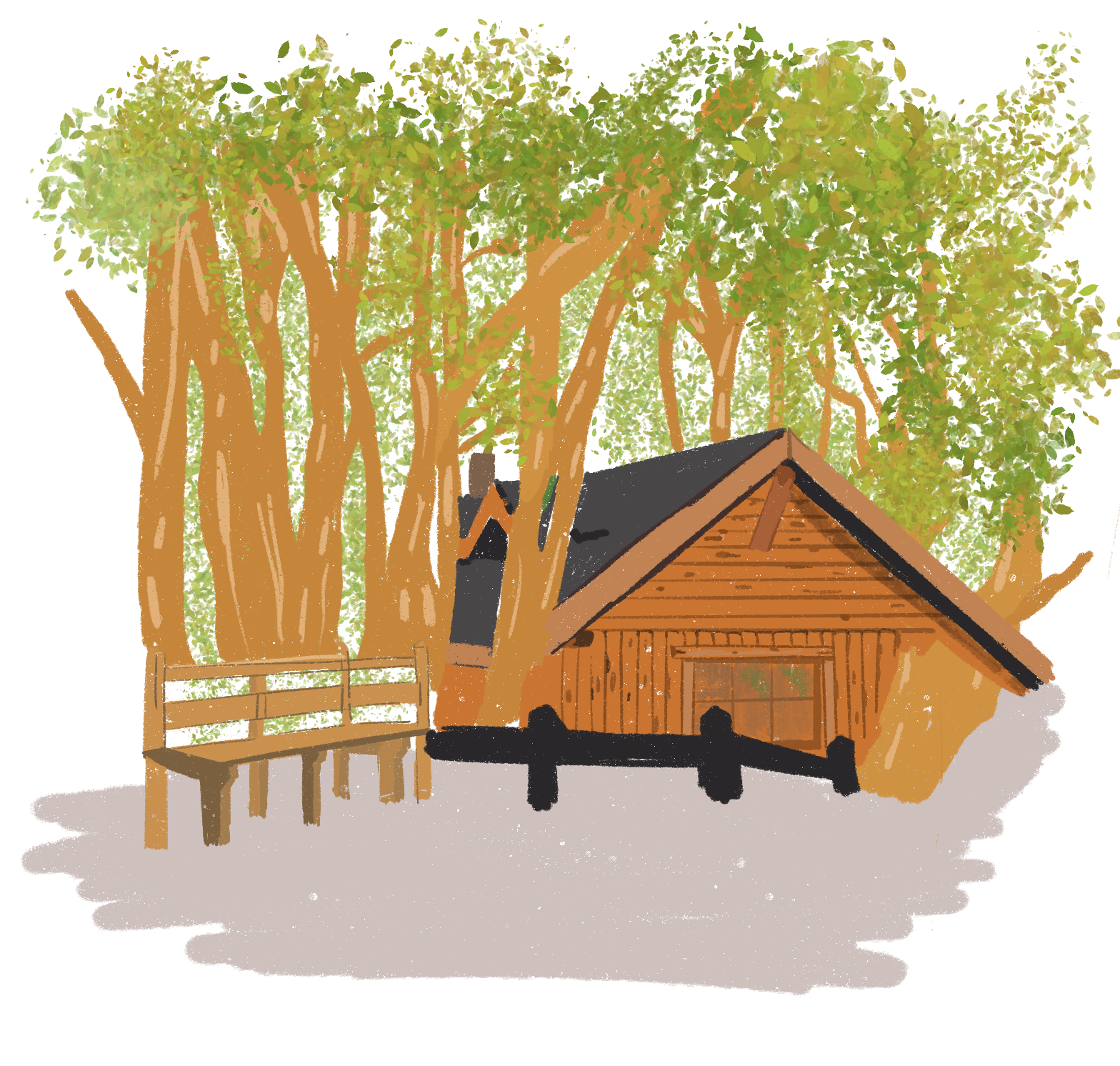 Bosque de Arrayanes