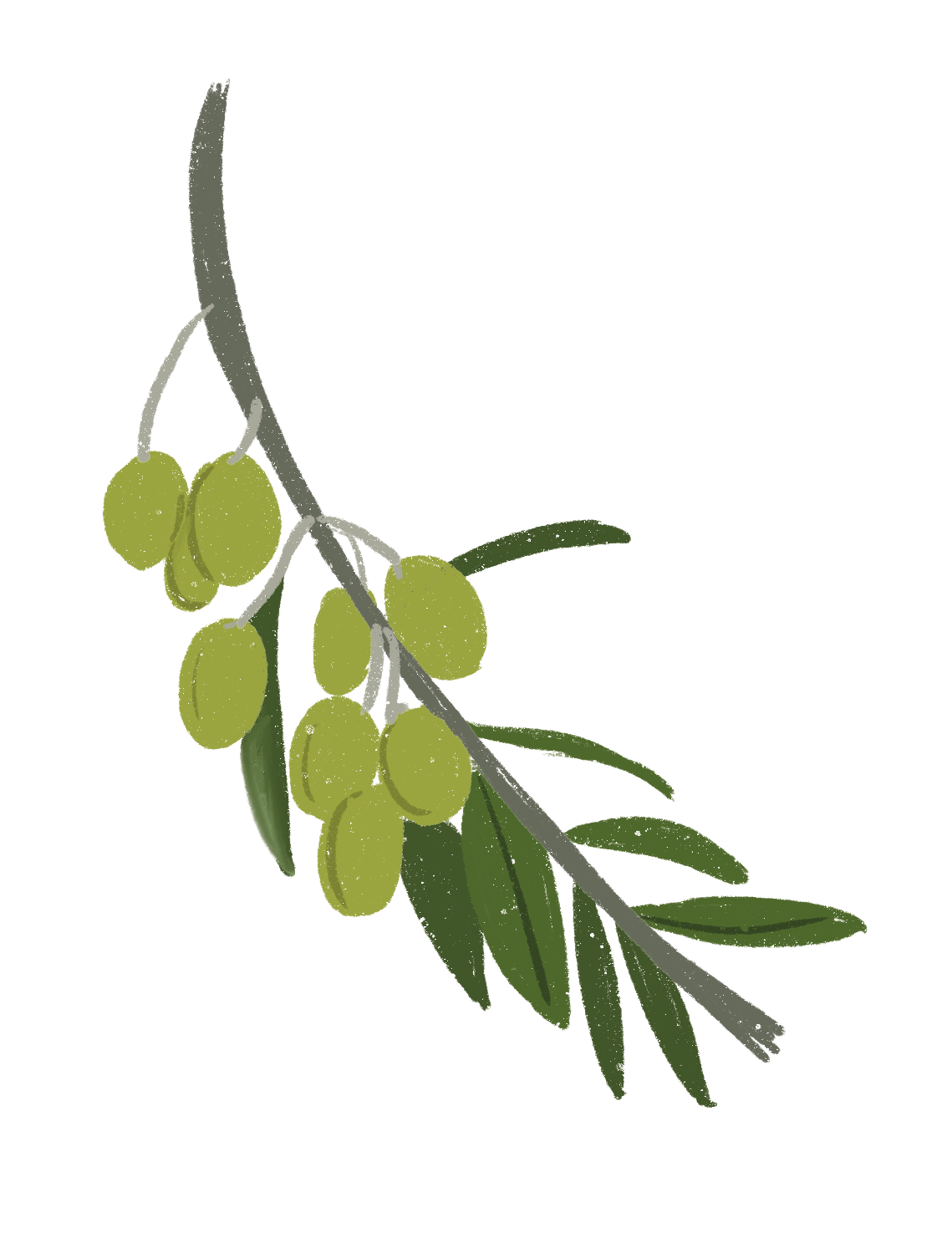 Aceitunas