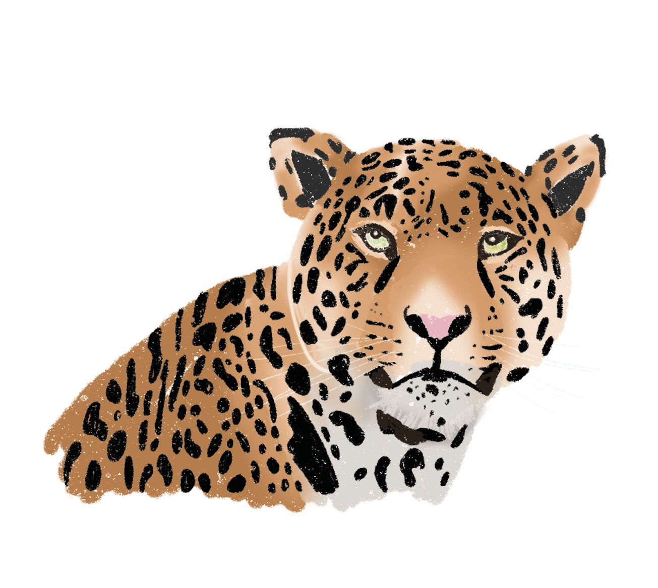 Yaguareté