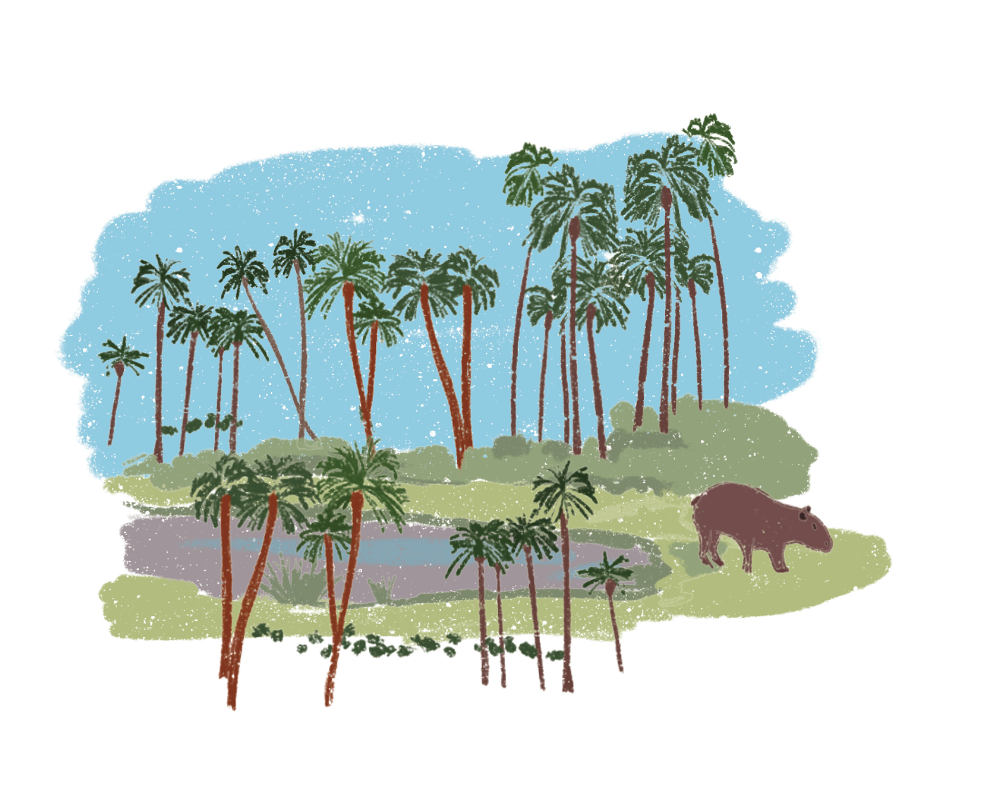 El Palmar