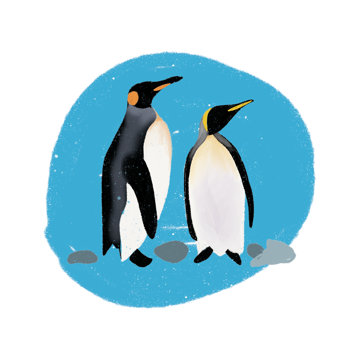 Pingüinos