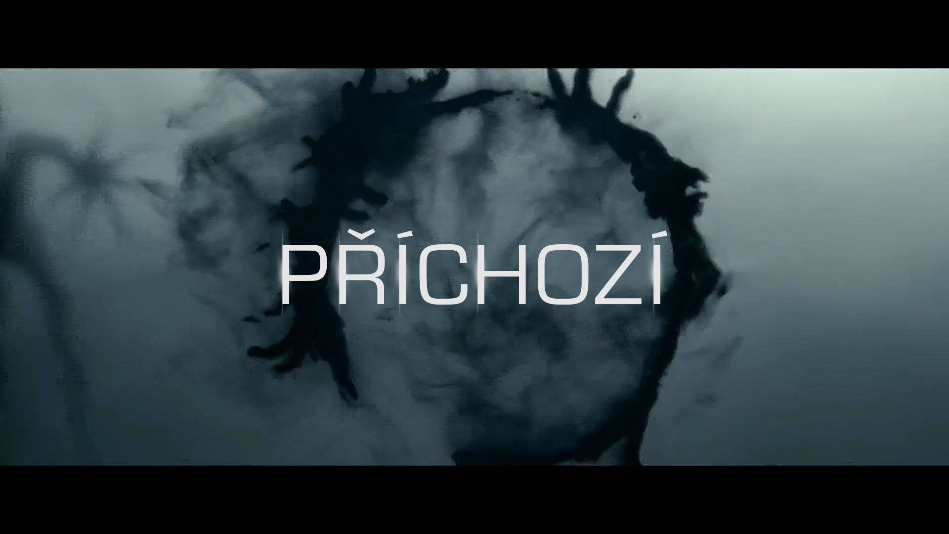 Self – Návrh animace a vizuálu