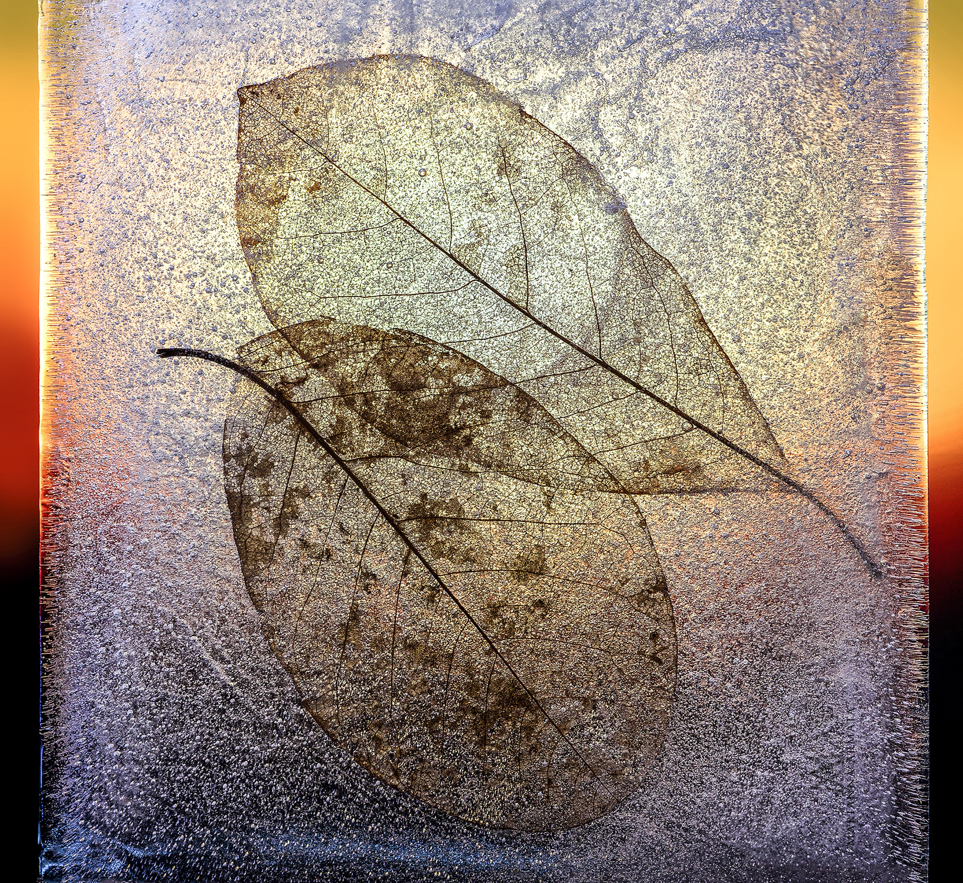 cryogenic leaves