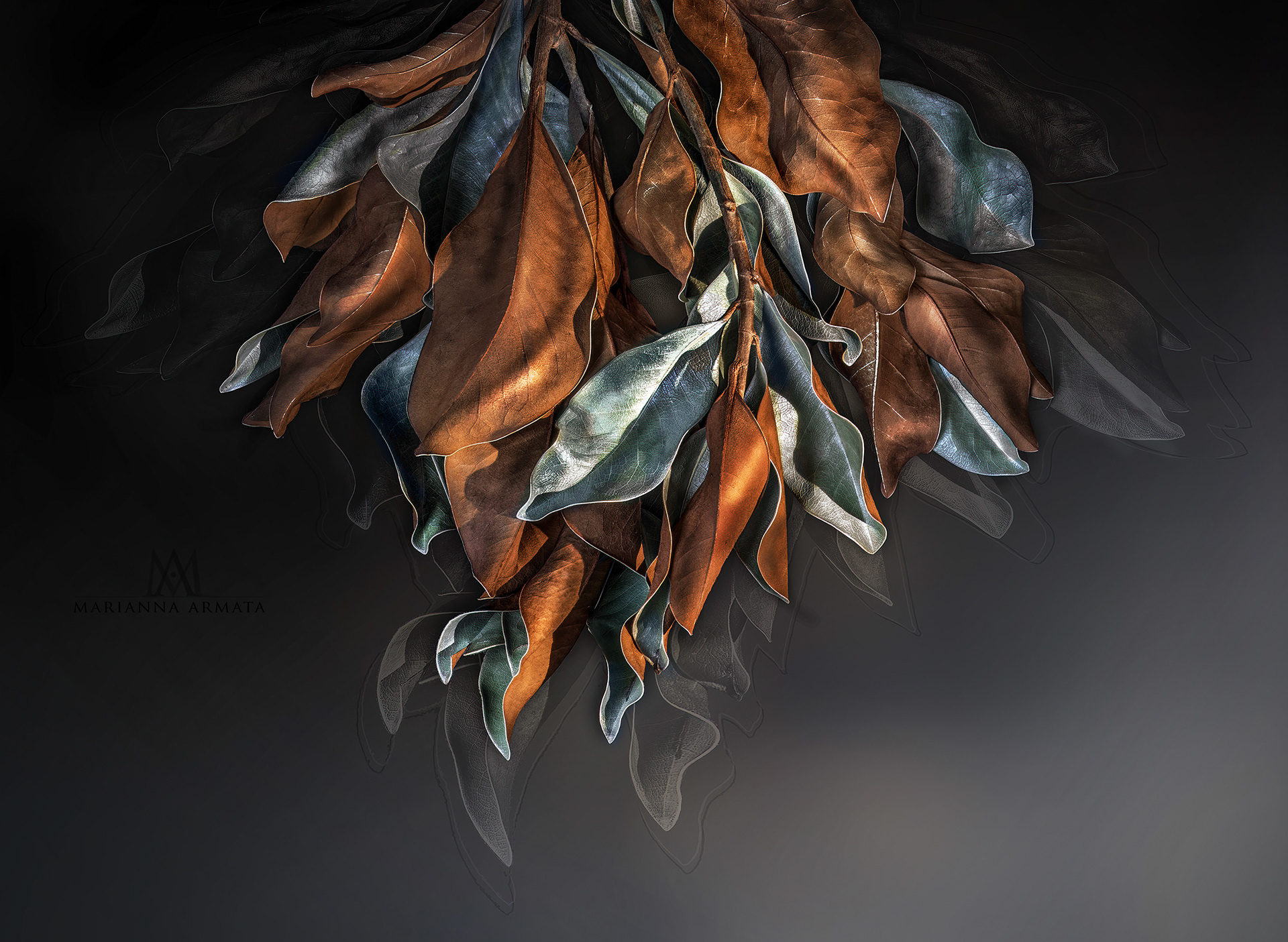 magnolia leaves