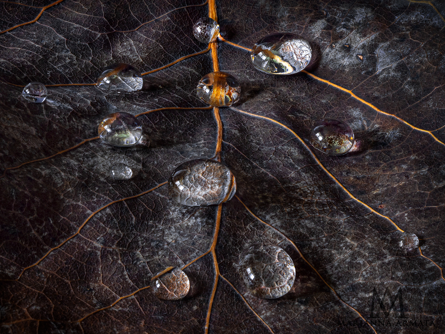 black aspen tears