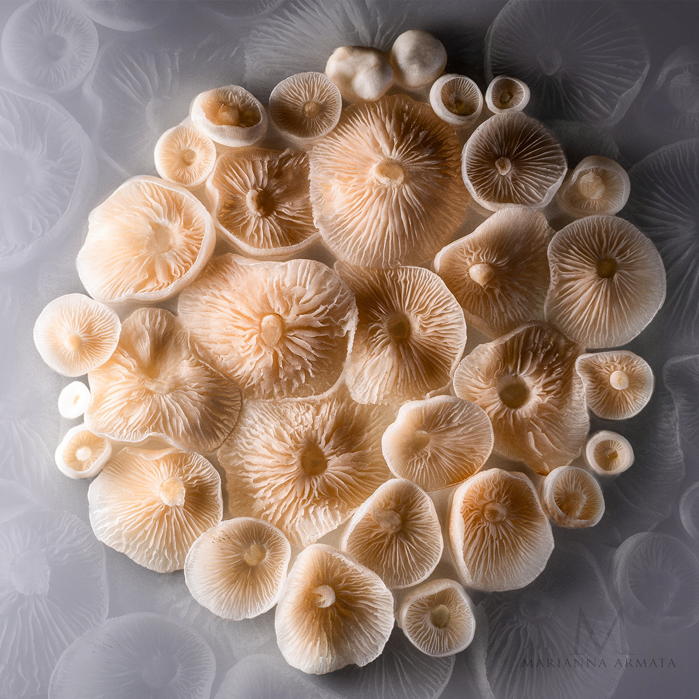 Enoki caps