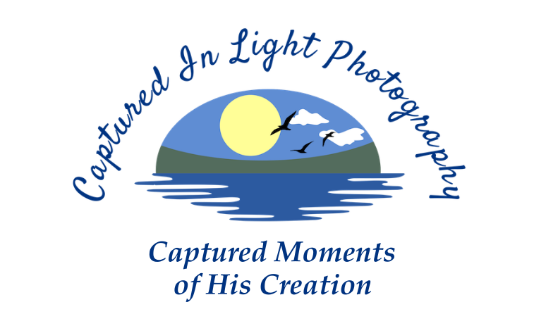 Captured In Light Photography