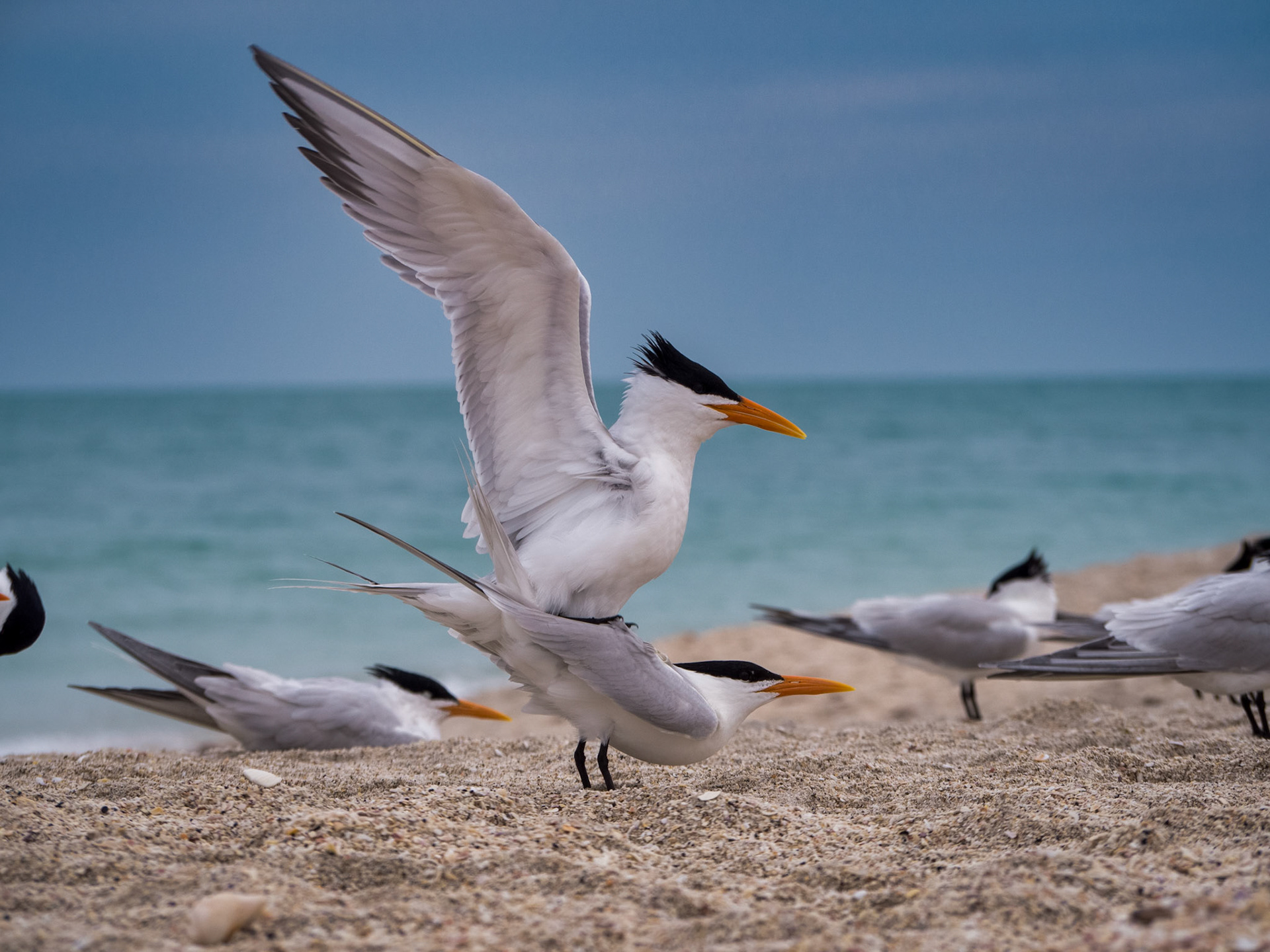 Edited with Luminar 2018.  Mostly Accent AI and AI Sky Enhancer.