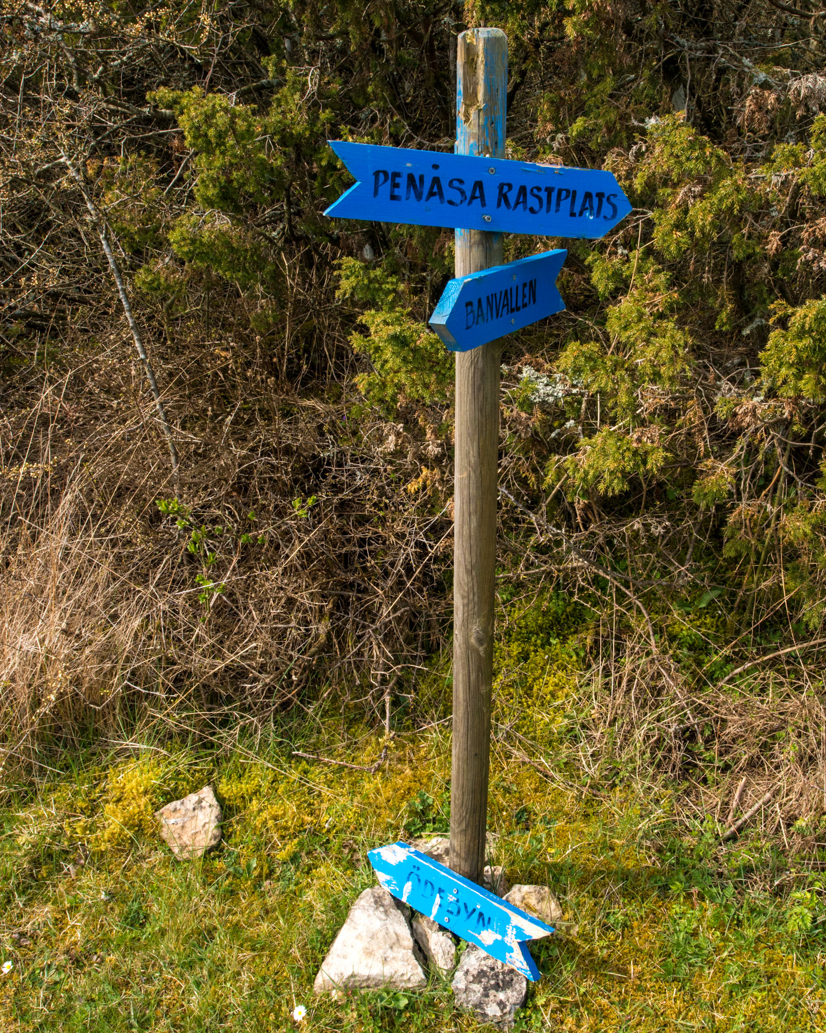 Penåsa, Kastlösa