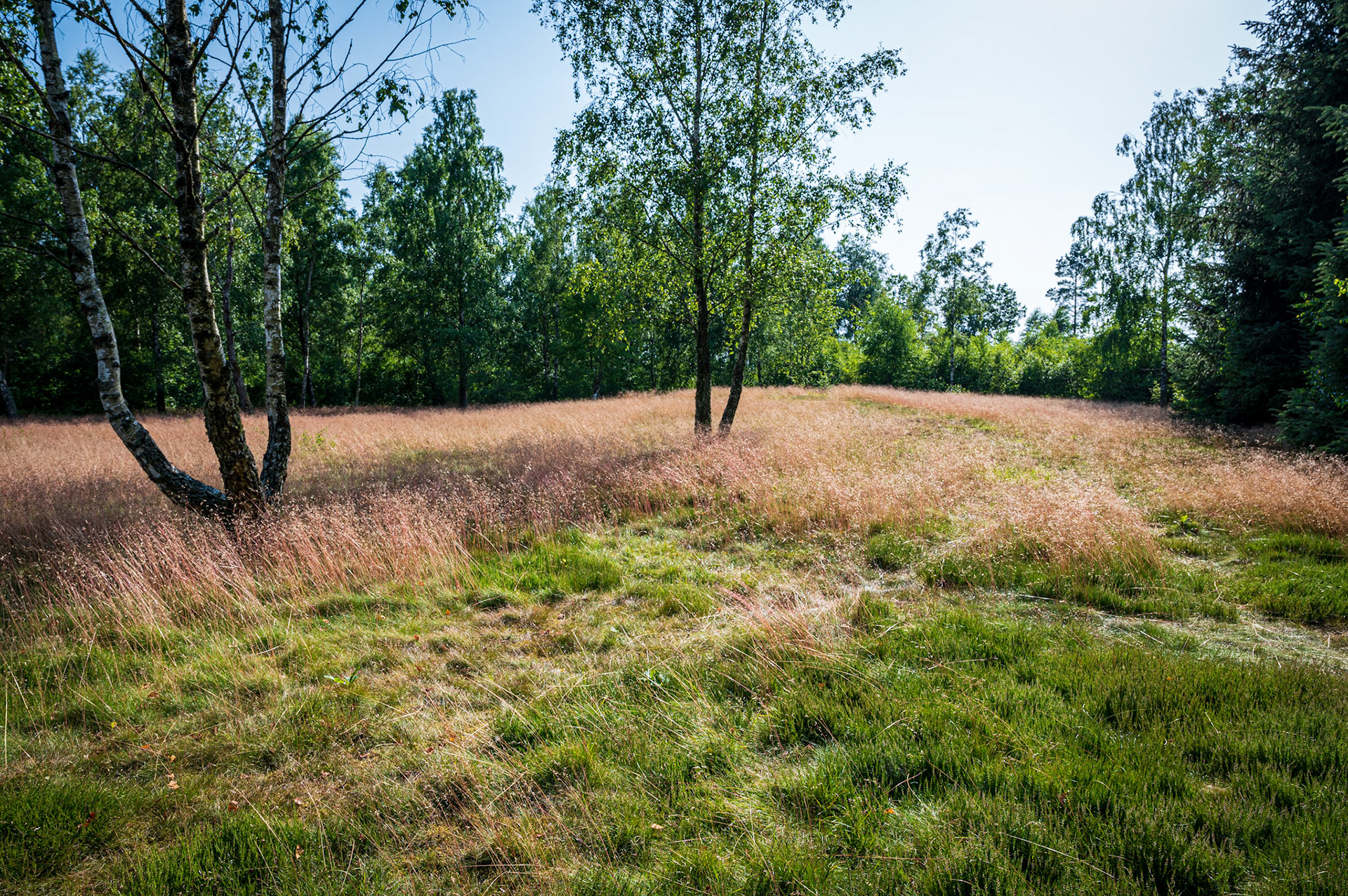 Treuddarna i Öinge