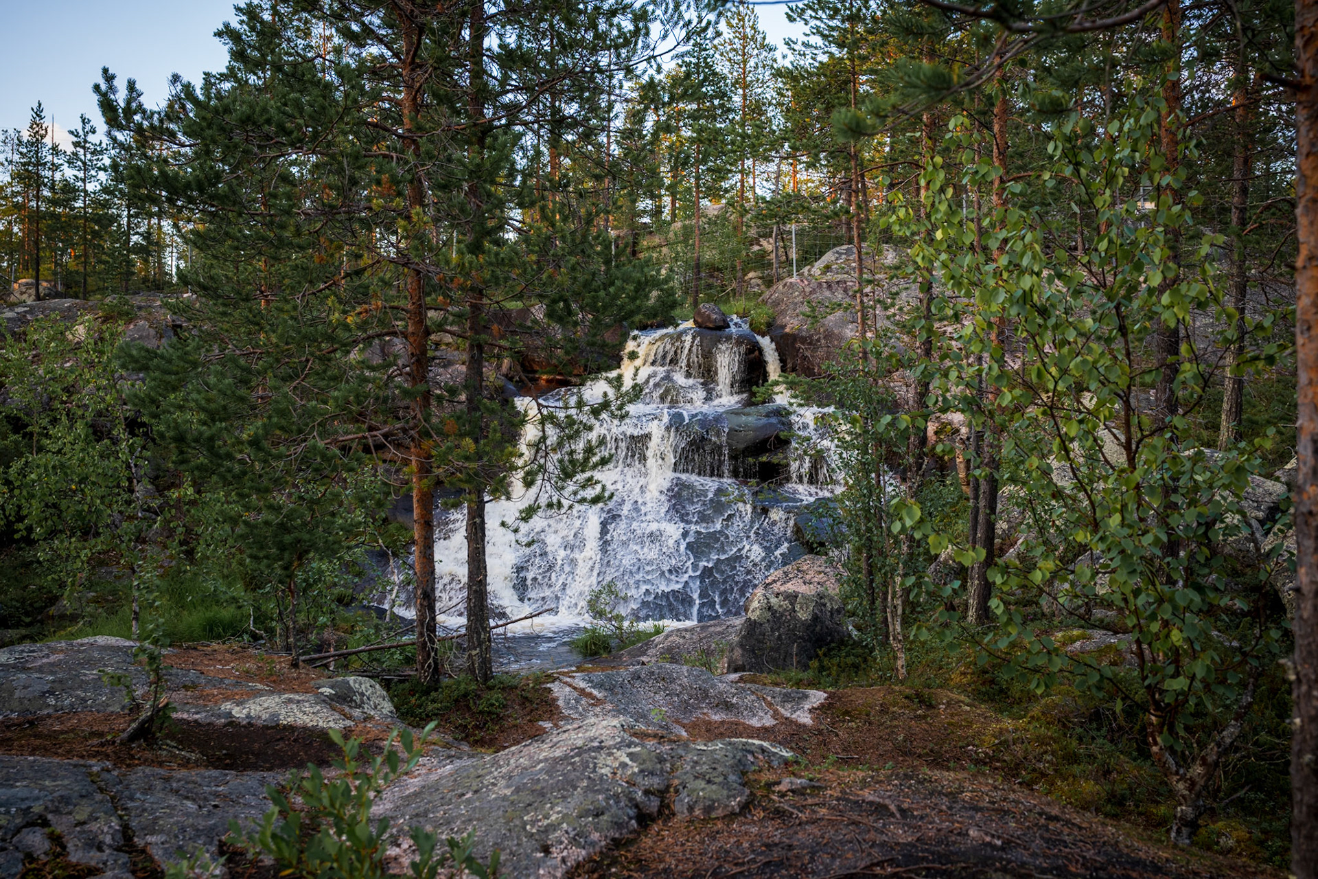 Harsprånget
