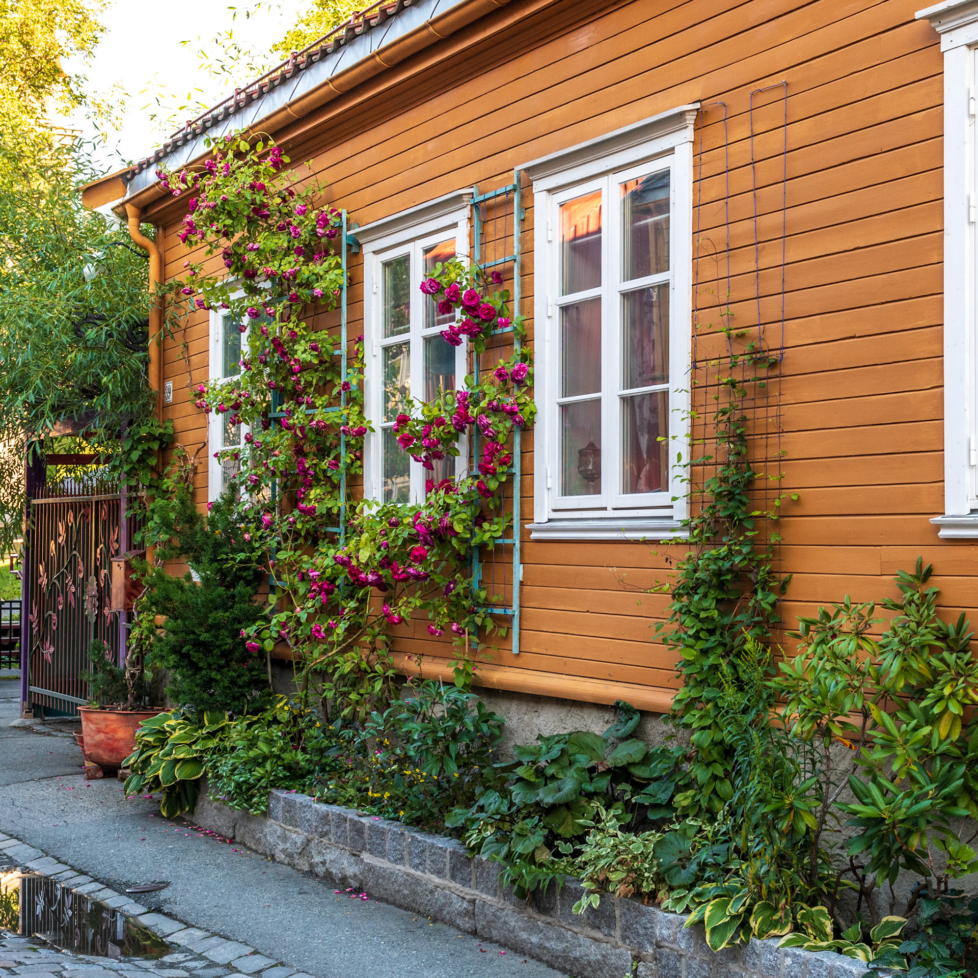 Trondheim