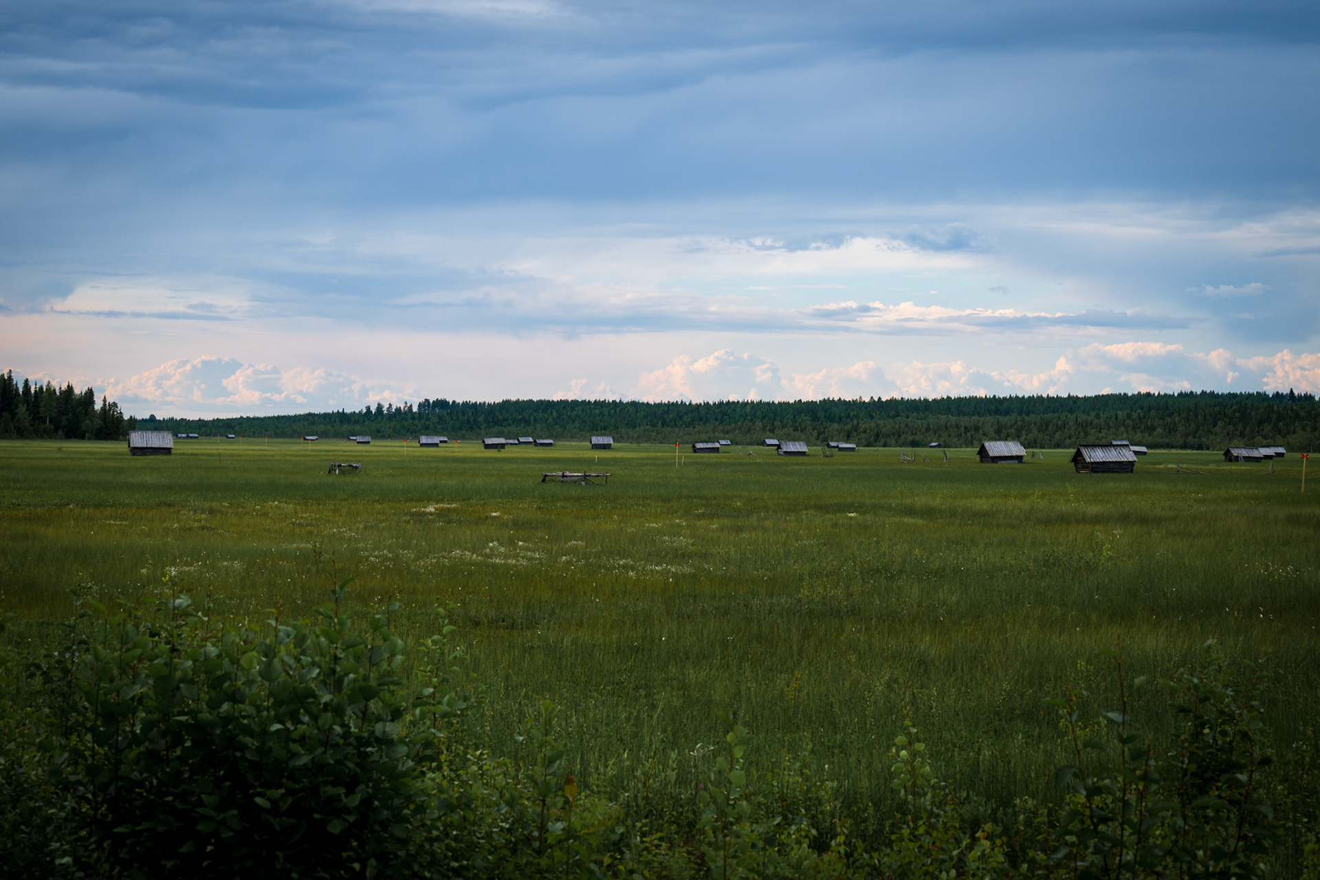 Vasikkavuoma naturreservat