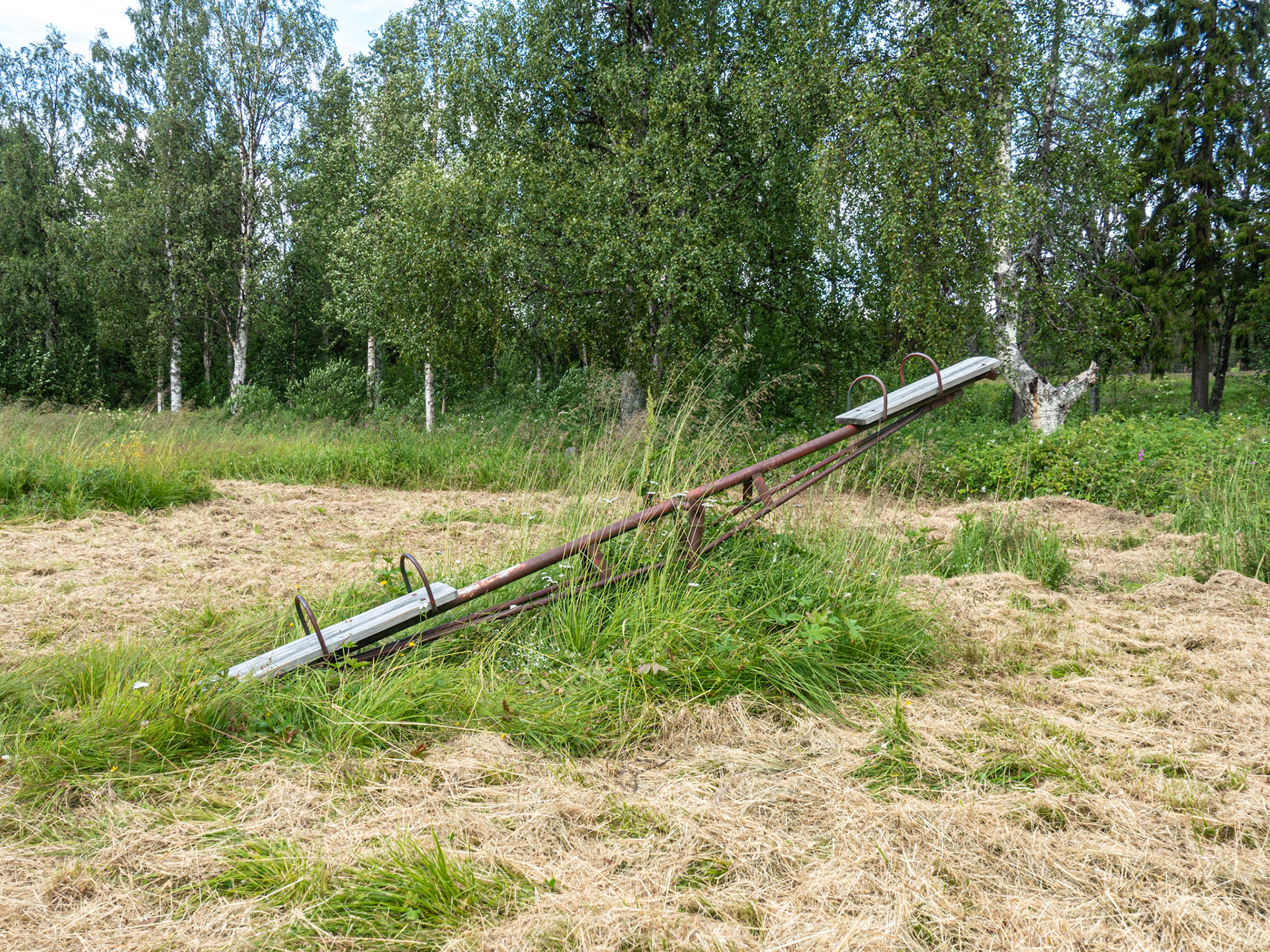 Skarvsjöby
