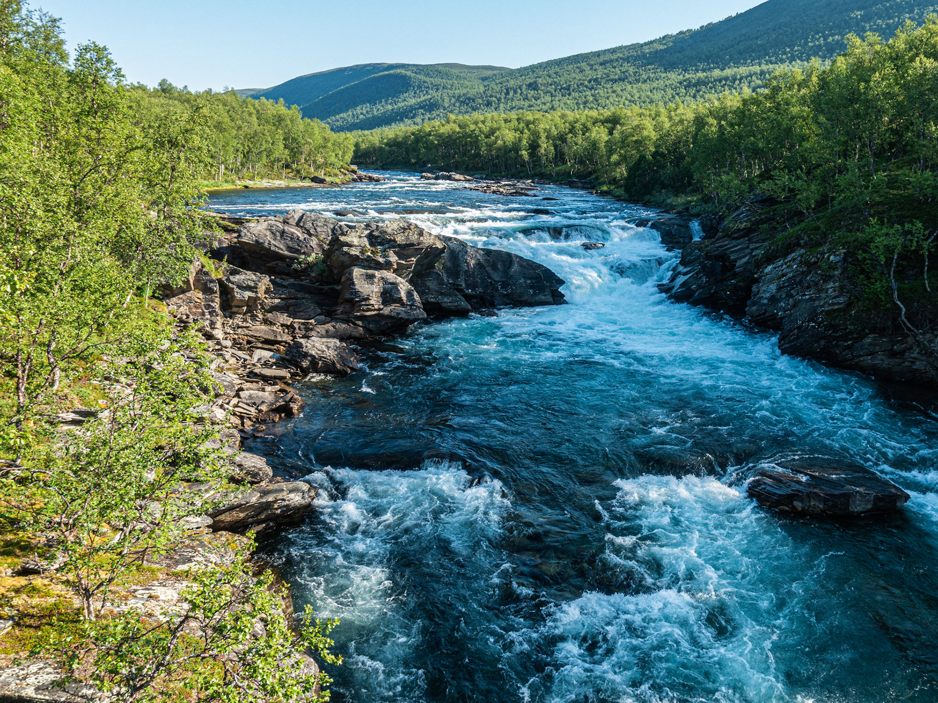 Vindelälven