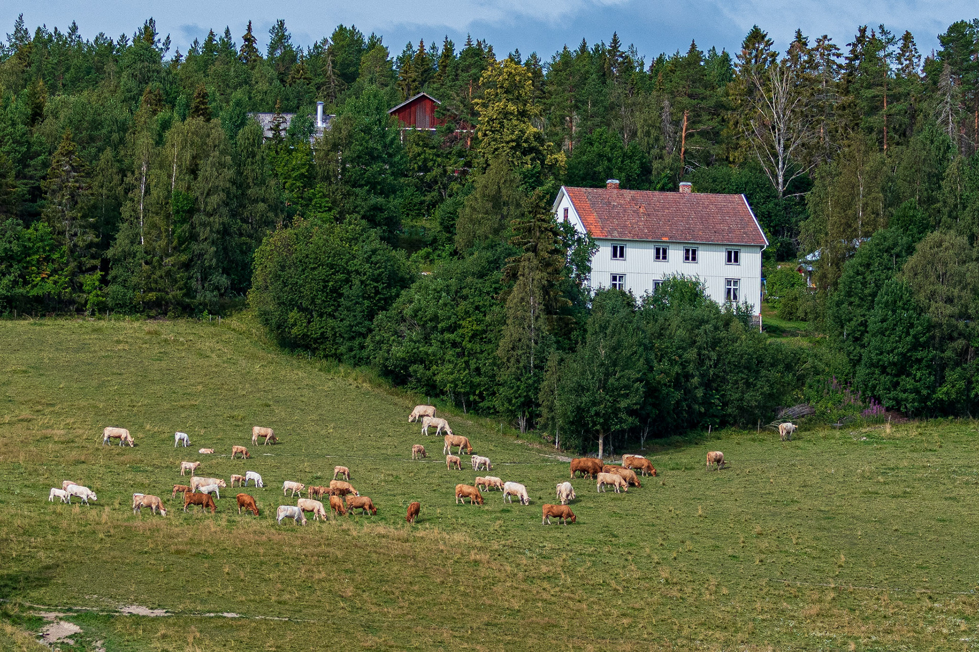 Nässoms camping