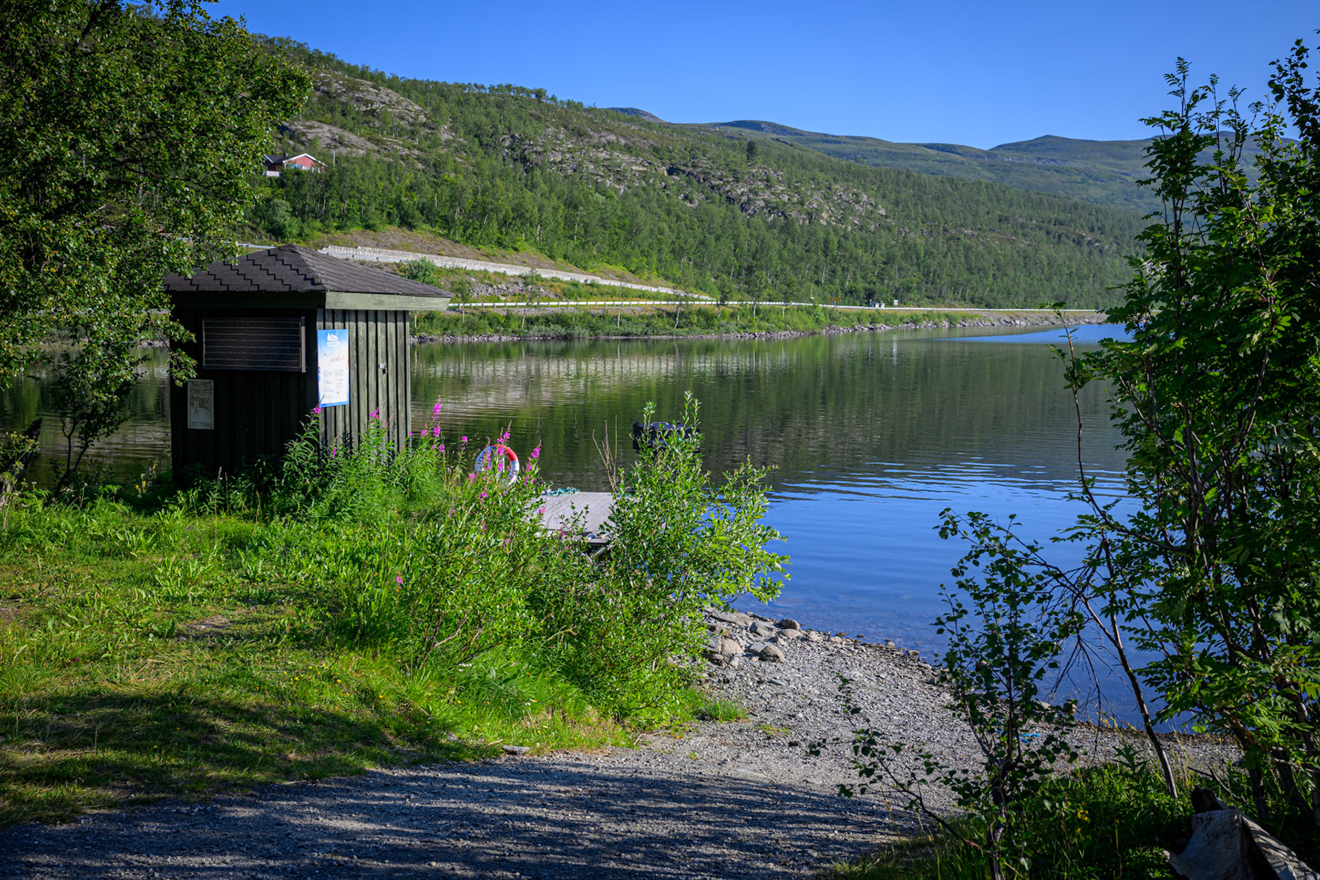 Morgondopp