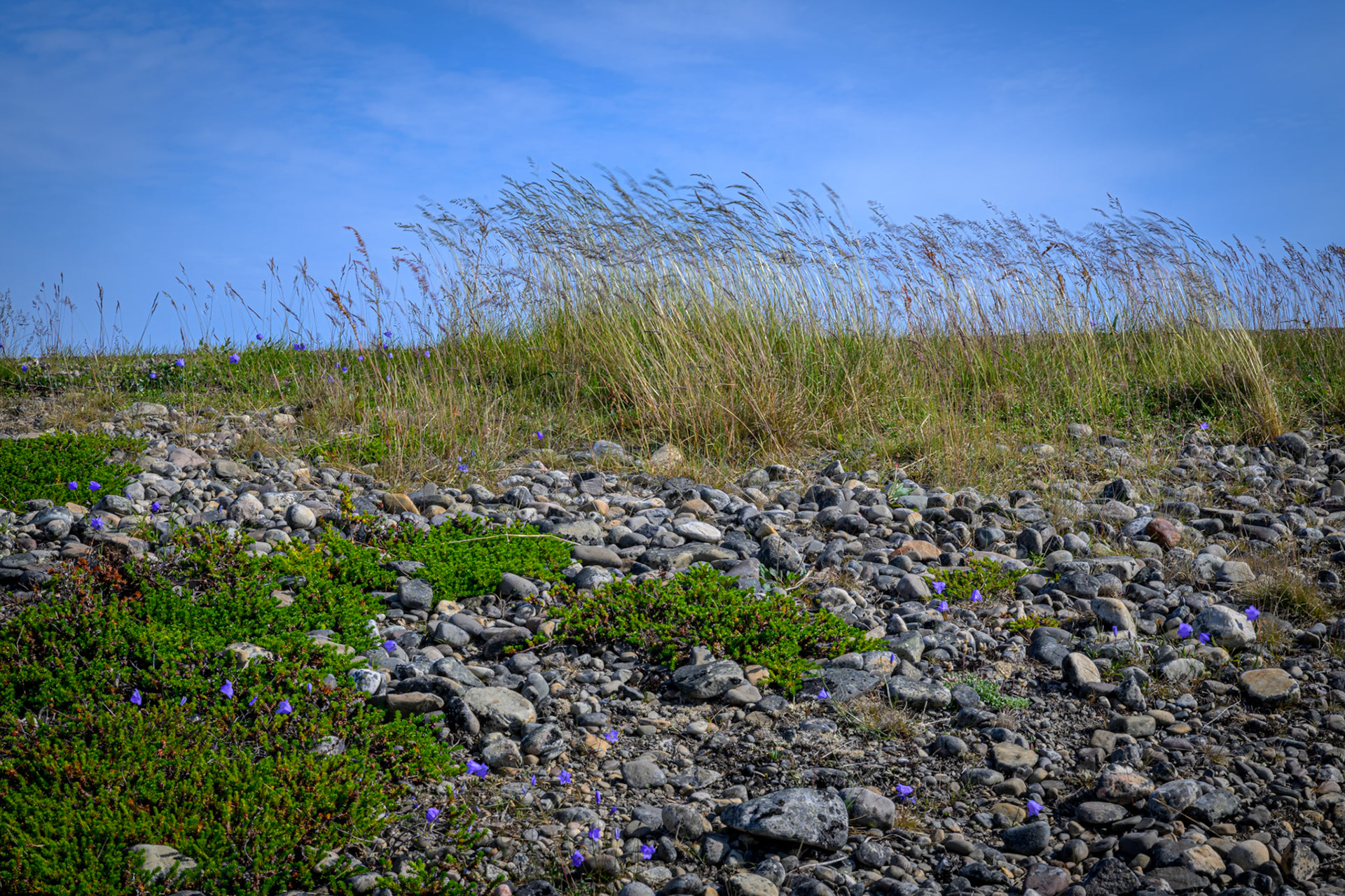 Varanger