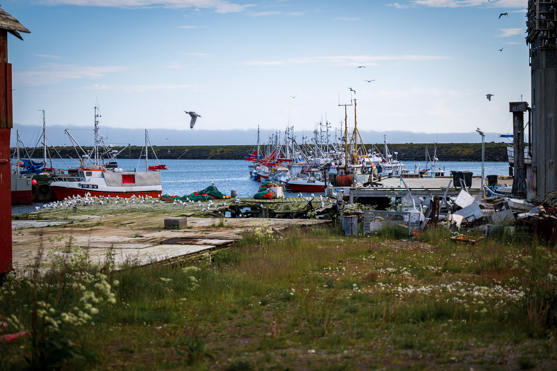 Kiberg