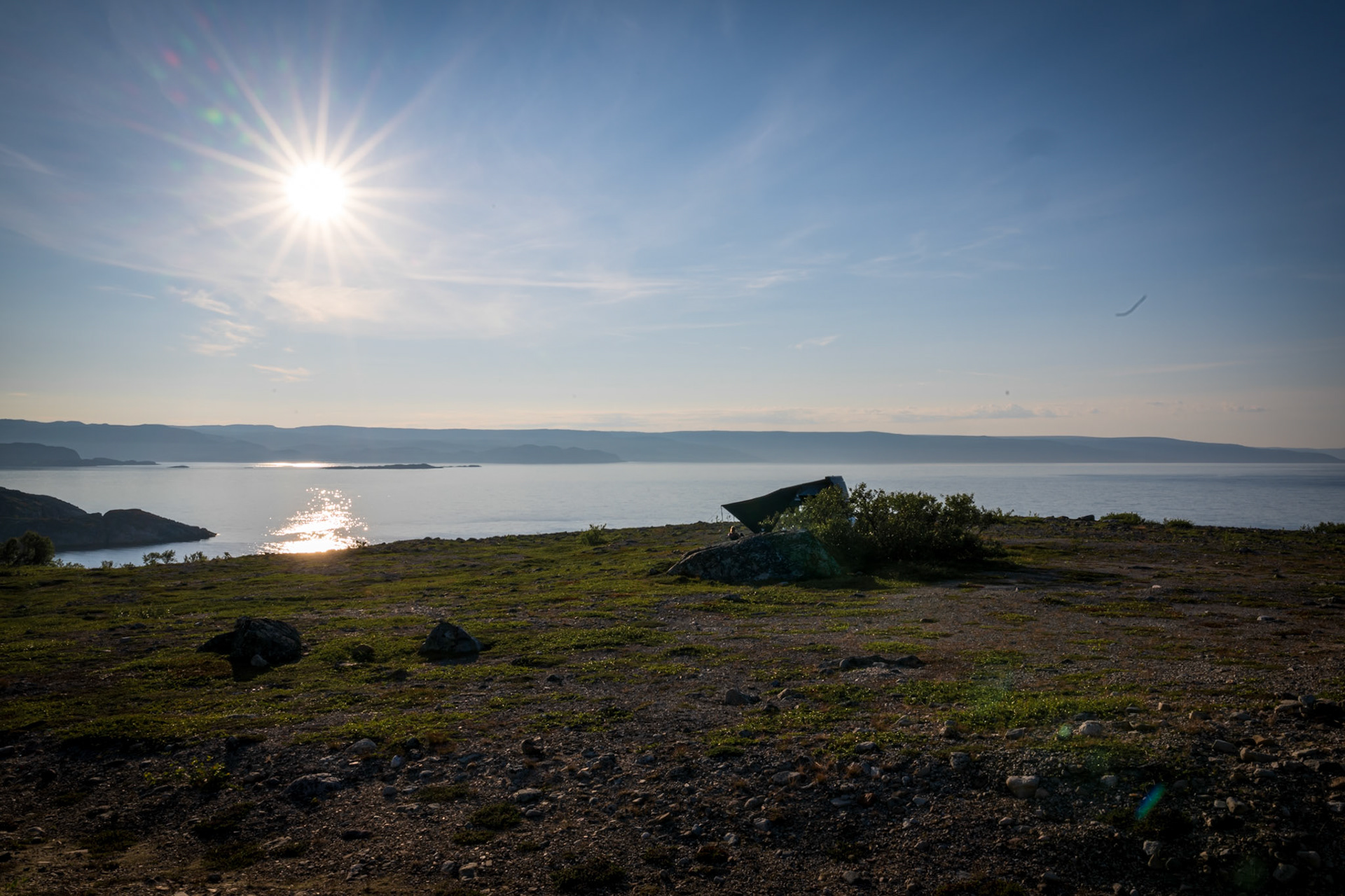 Tårnvika