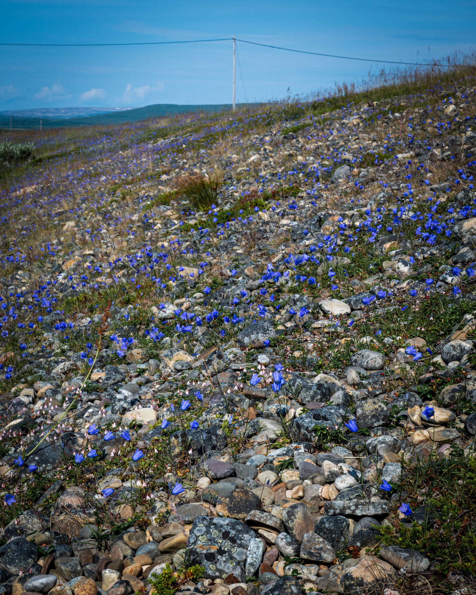 Varanger