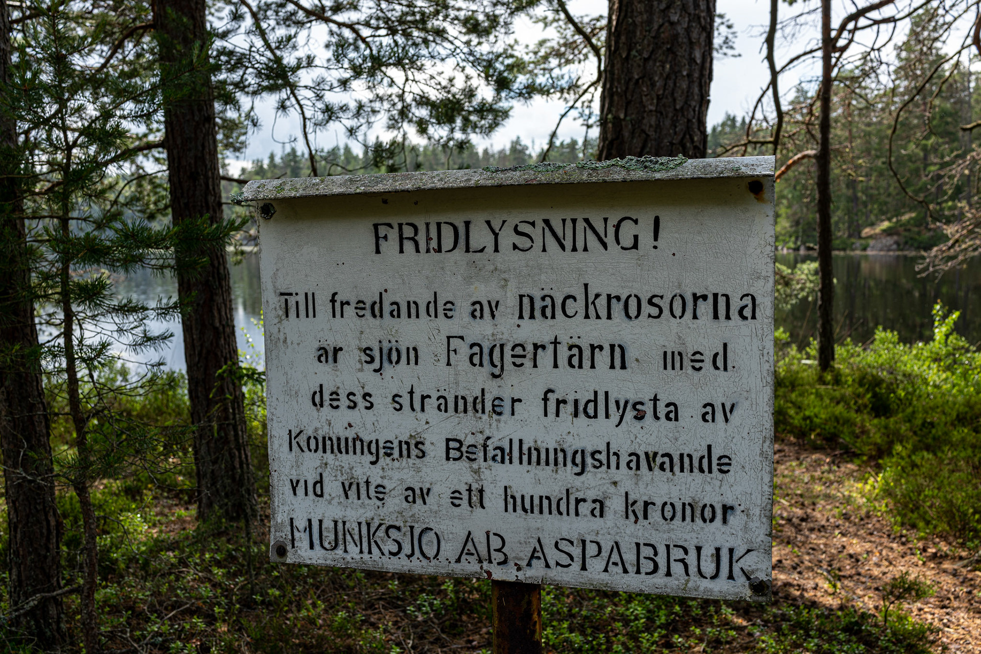 Fagertärn