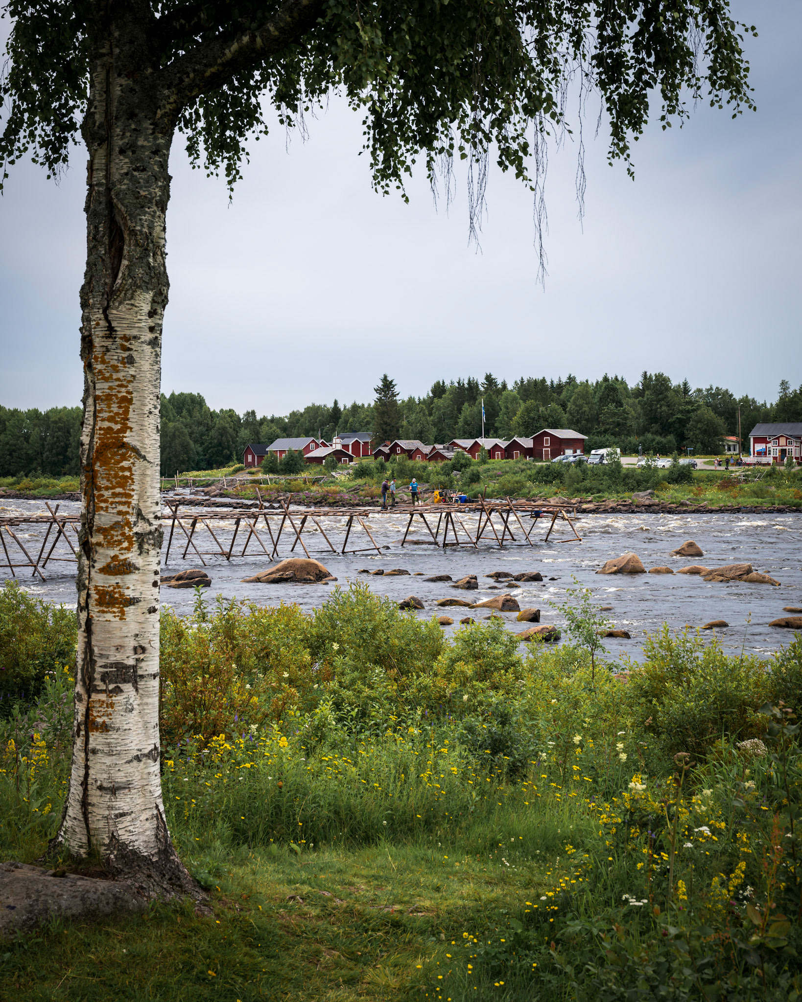Kukkolaforsen