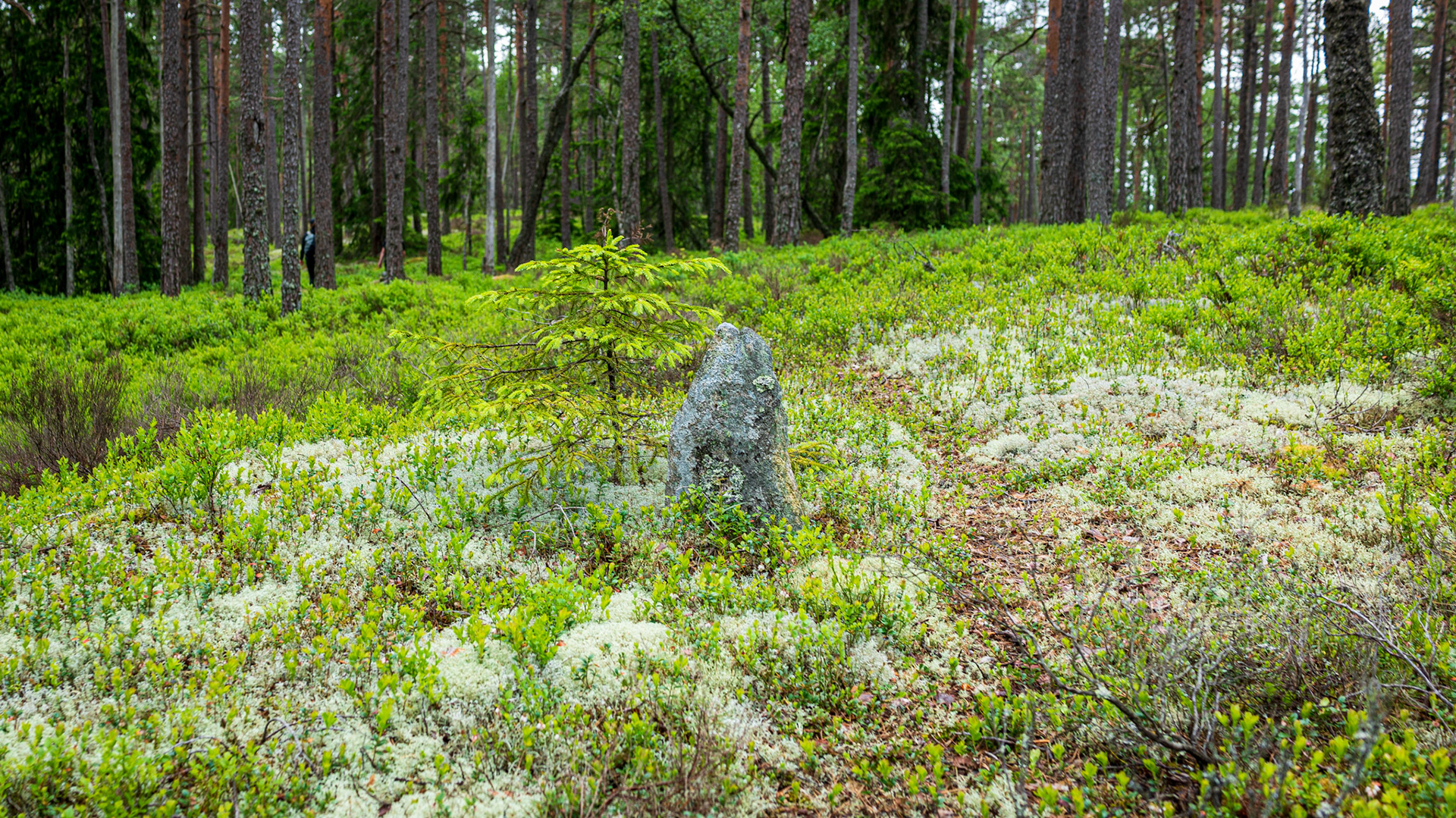 ...någon har varit här tidigare!