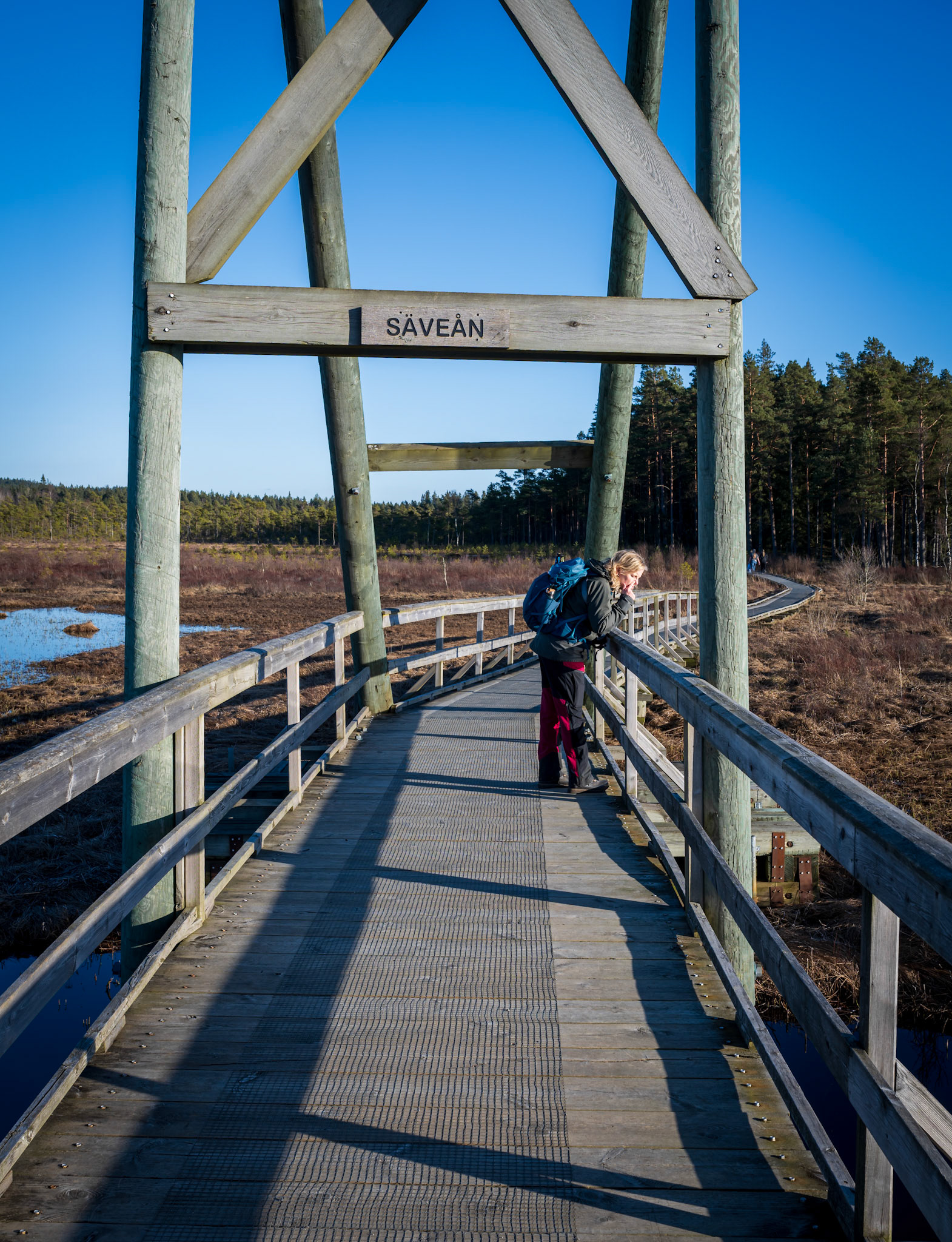 9/3 Vänga mosse