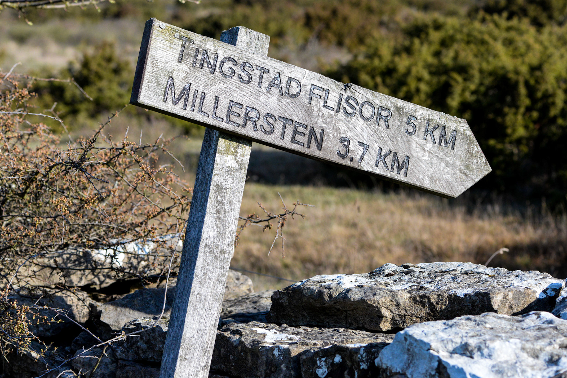Penåsa, Kastlösa