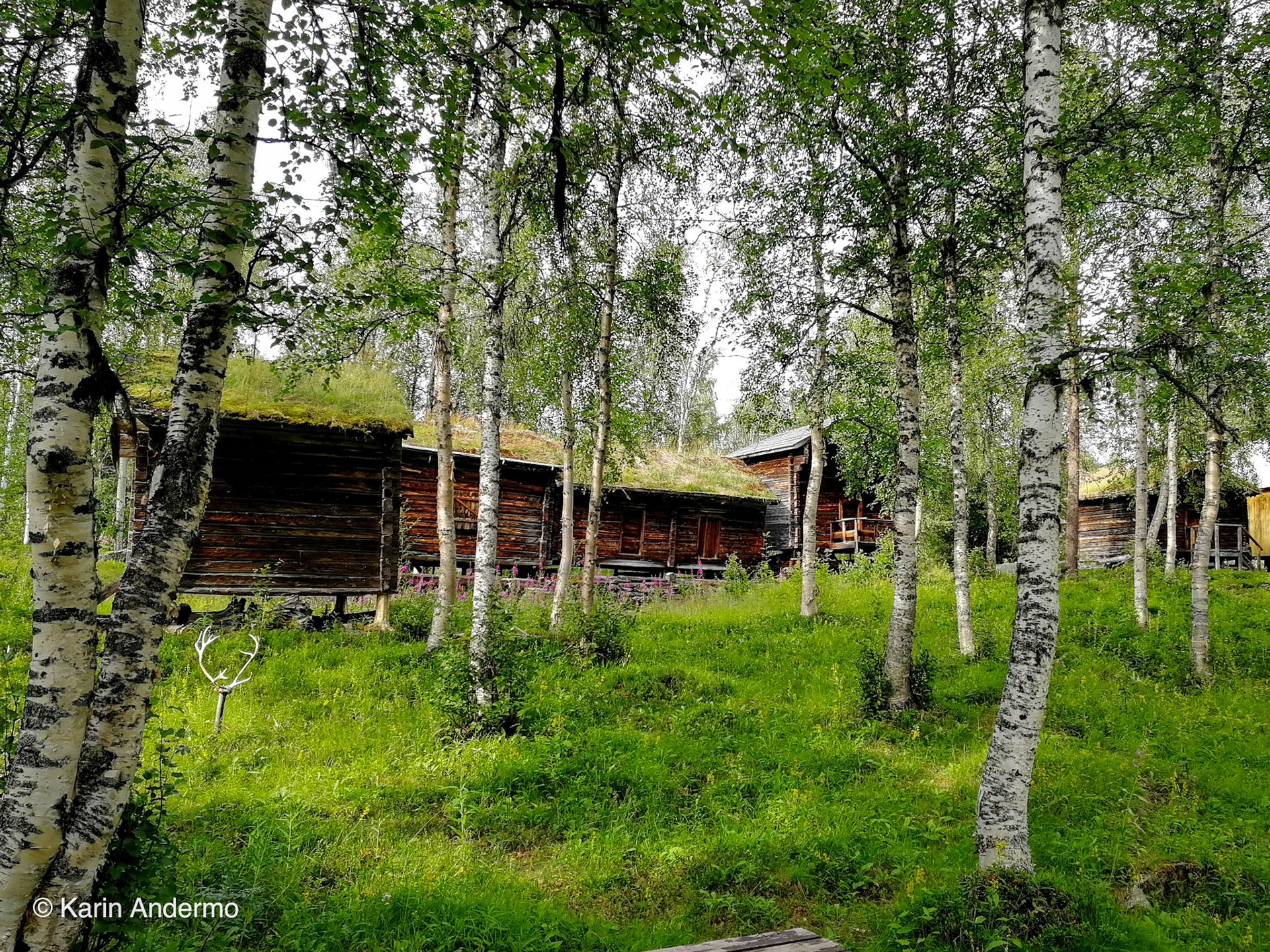 Lappstaden
