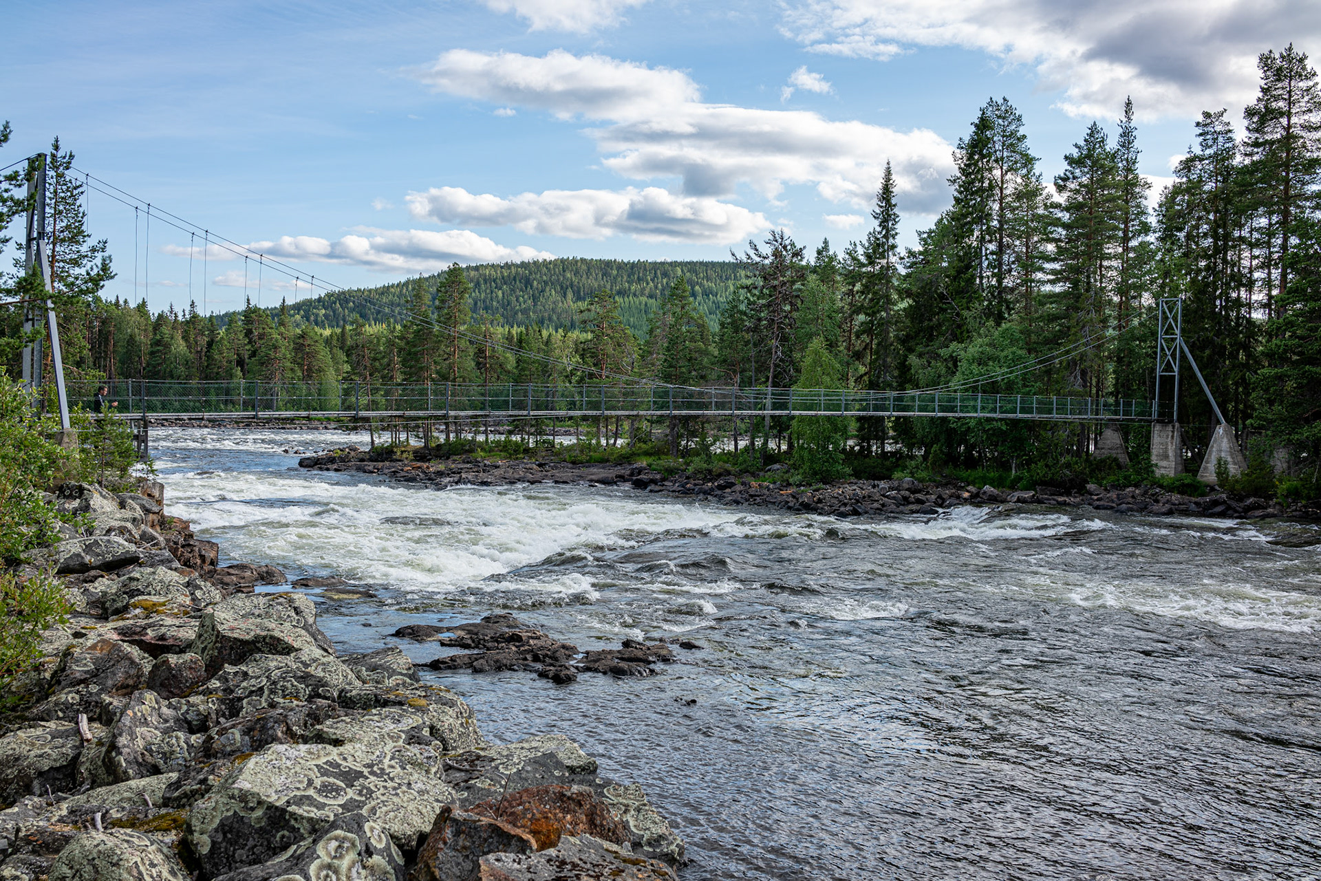 Vindelälven