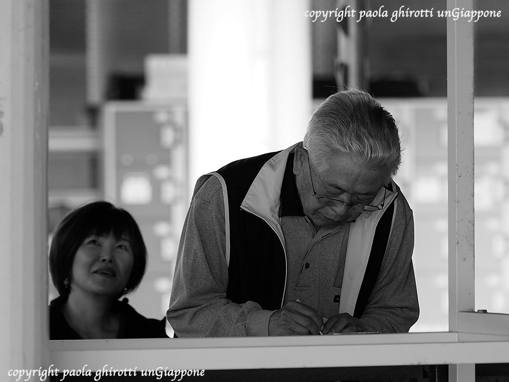 japan , gifu prefecture, kasamatsu keiba, horse race, copyright paola ghirotti