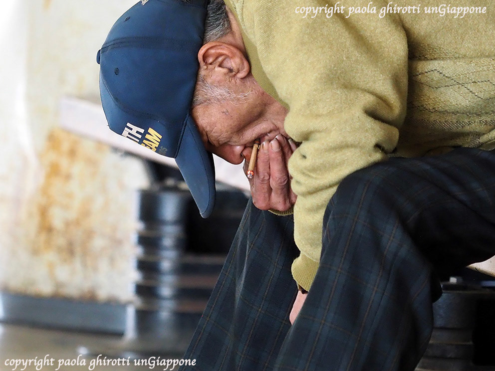 japan , gifu prefecture, kasamatsu keiba, horse race, copyright paola ghirotti