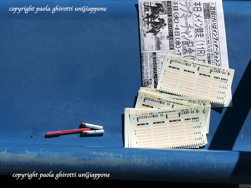 japan , gifu prefecture, kasamatsu keiba, horse race, copyright paola ghirotti