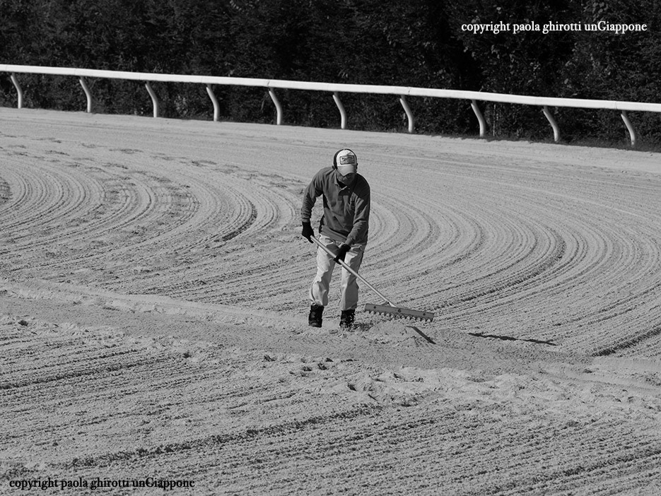 japan , gifu prefecture, kasamatsu keiba, horse race, copyright paola ghirotti