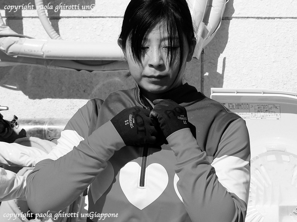 japan , gifu prefecture, kasamatsu keiba, horse race, copyright paola ghirotti