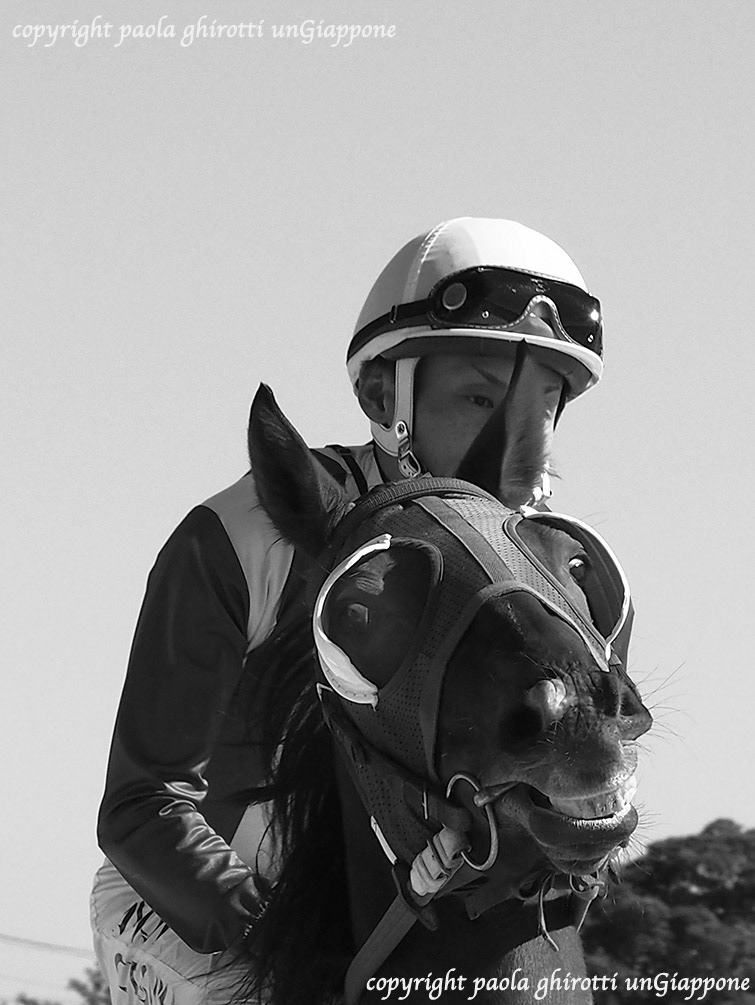 japan , gifu prefecture, kasamatsu keiba, horse race, copyright paola ghirotti