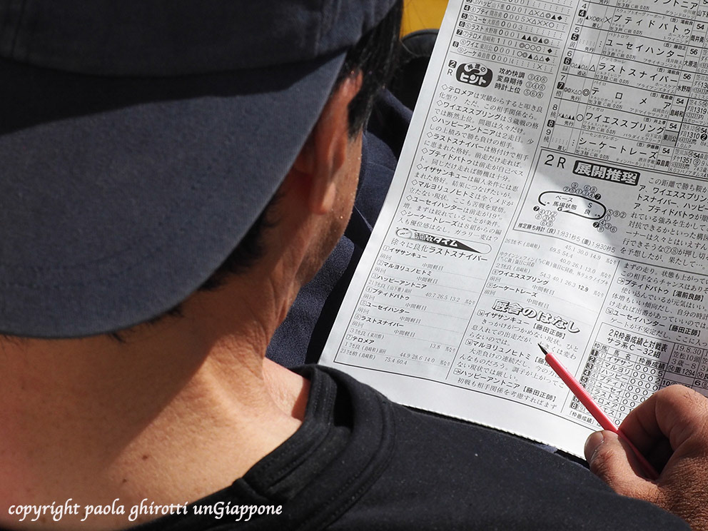 japan , gifu prefecture, kasamatsu keiba, horse race, copyright paola ghirotti