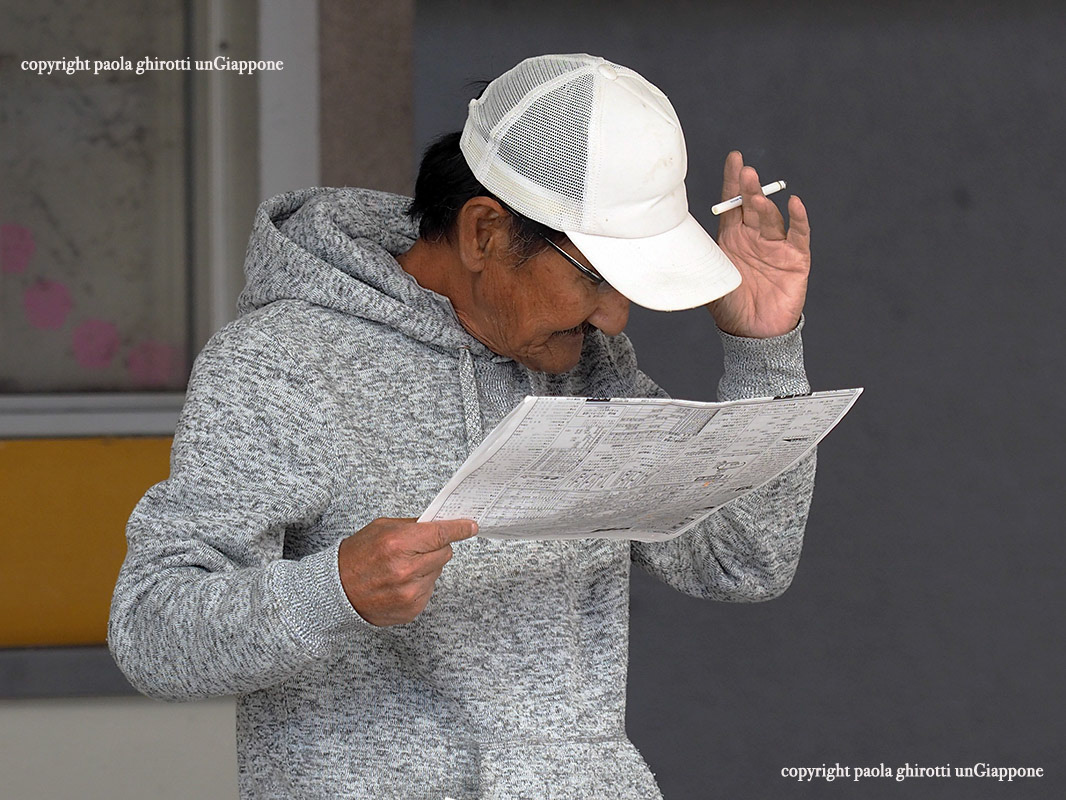 japan , gifu prefecture, kasamatsu keiba, horse race, copyright paola ghirotti